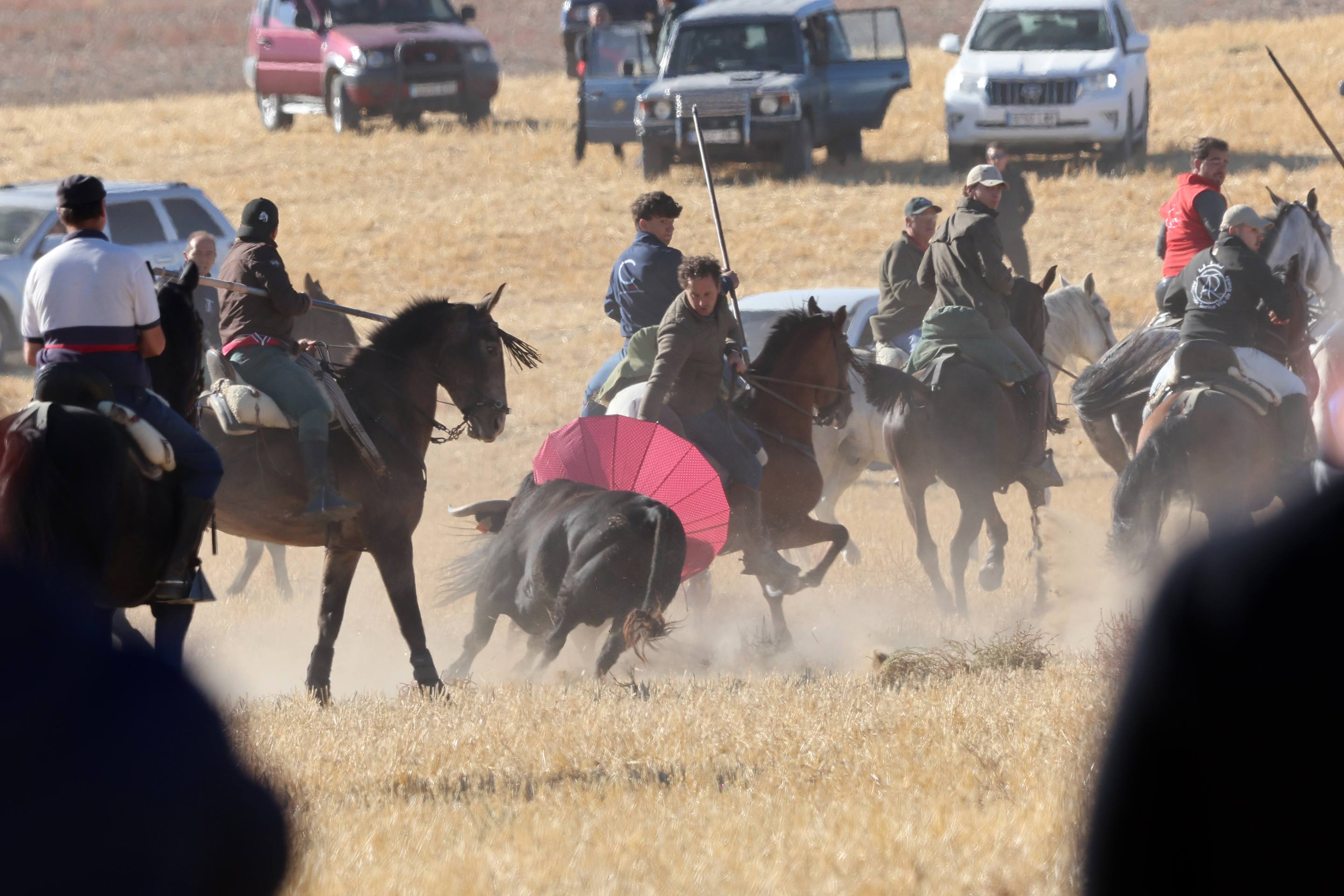 El encierro de este domingo en Mojados, en imágenes