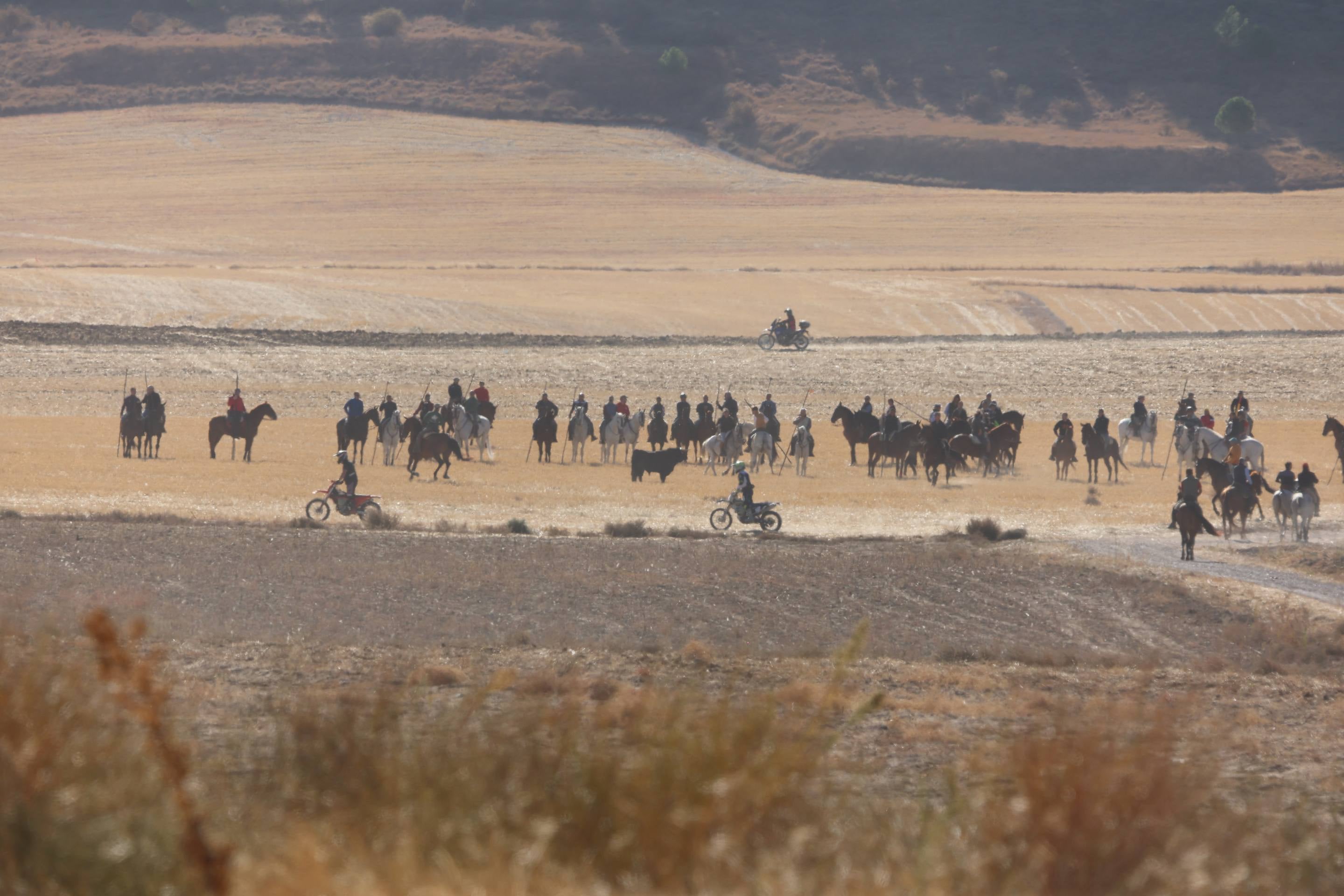 El encierro de este domingo en Mojados, en imágenes