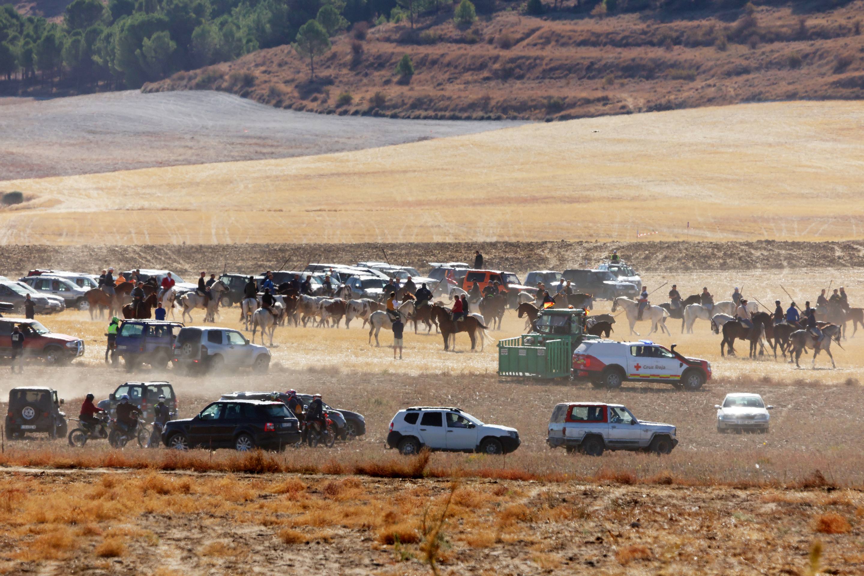 El encierro de este domingo en Mojados, en imágenes