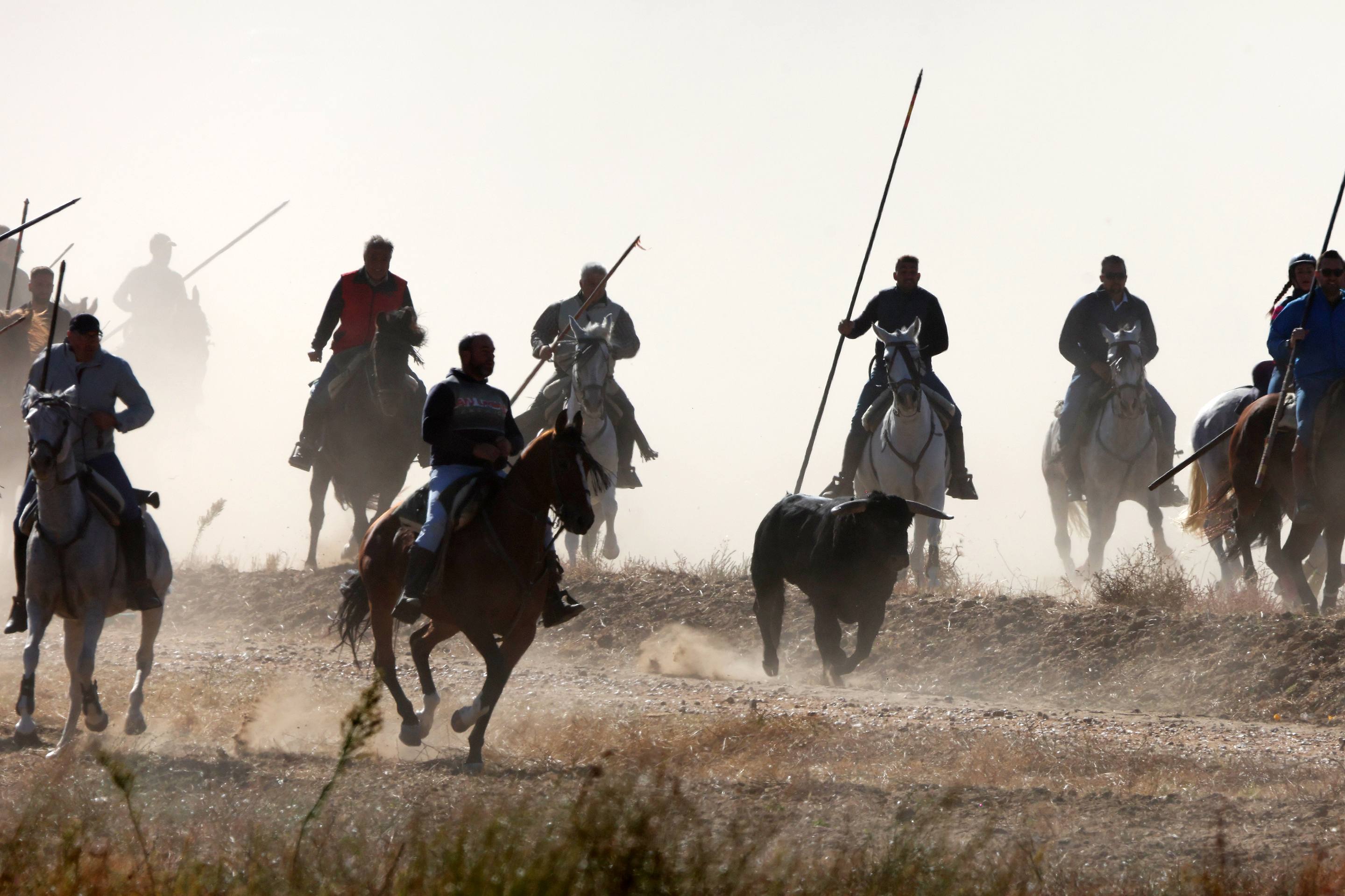 El encierro de este domingo en Mojados, en imágenes