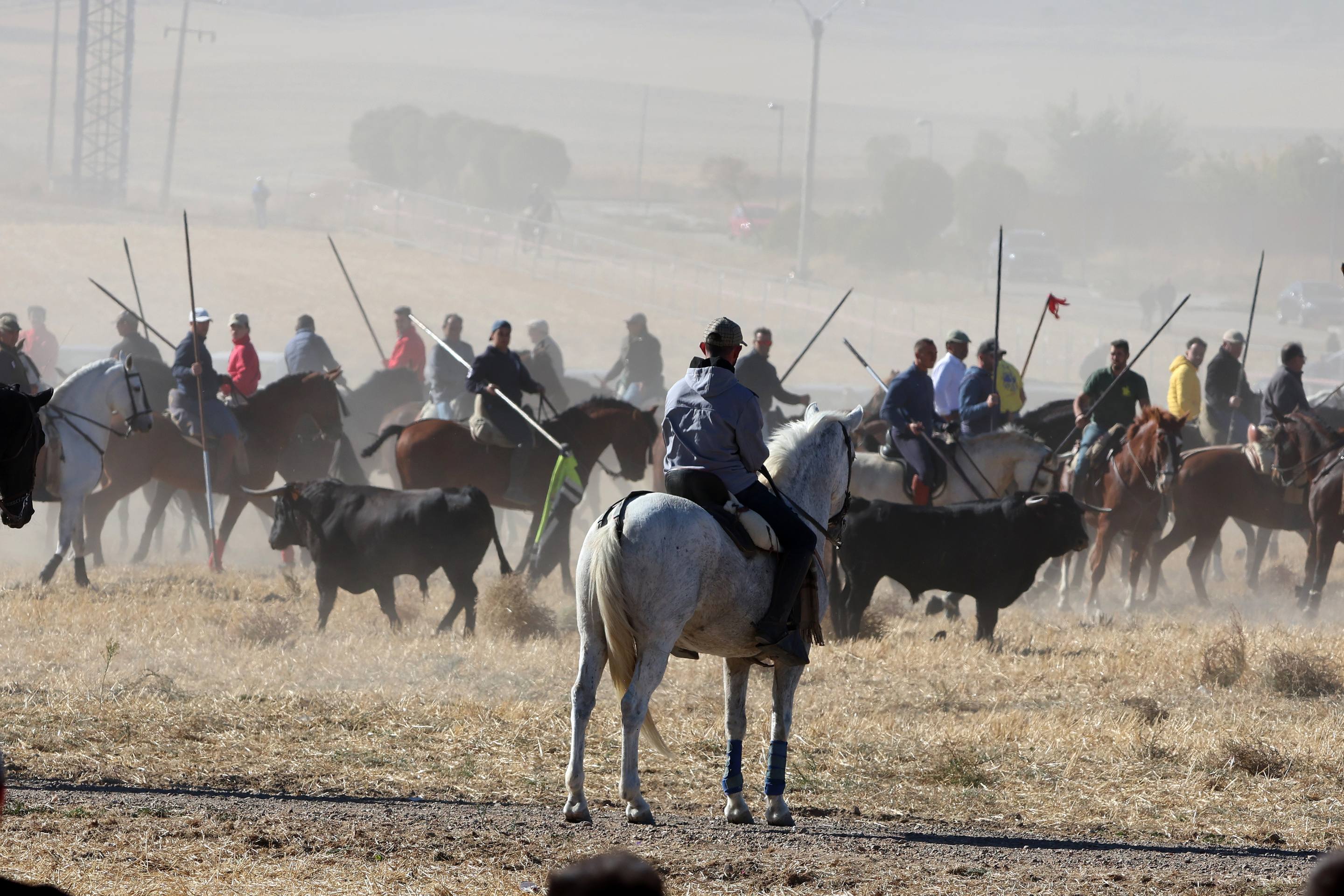 El encierro de este domingo en Mojados, en imágenes