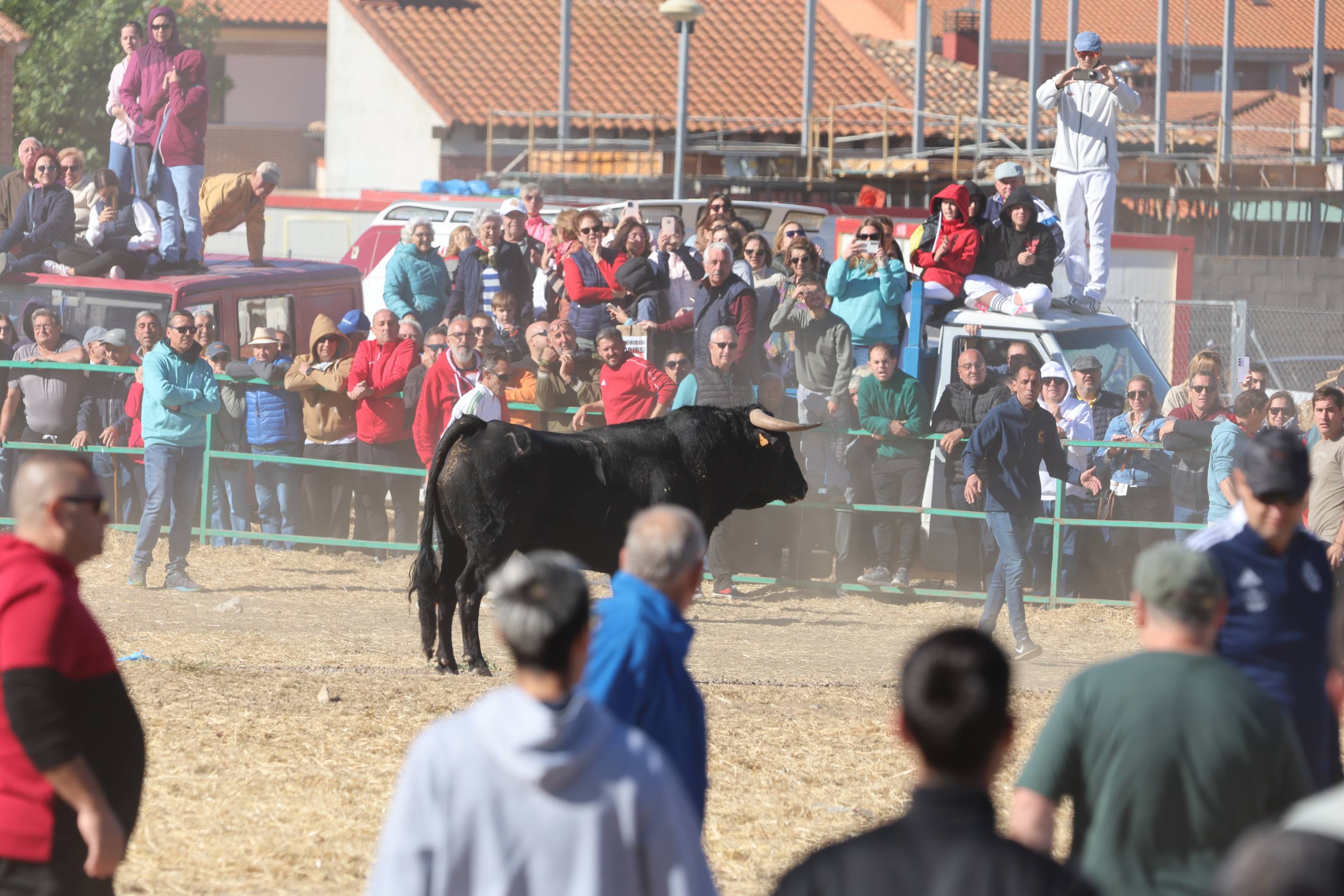 El encierro de este domingo en Mojados, en imágenes