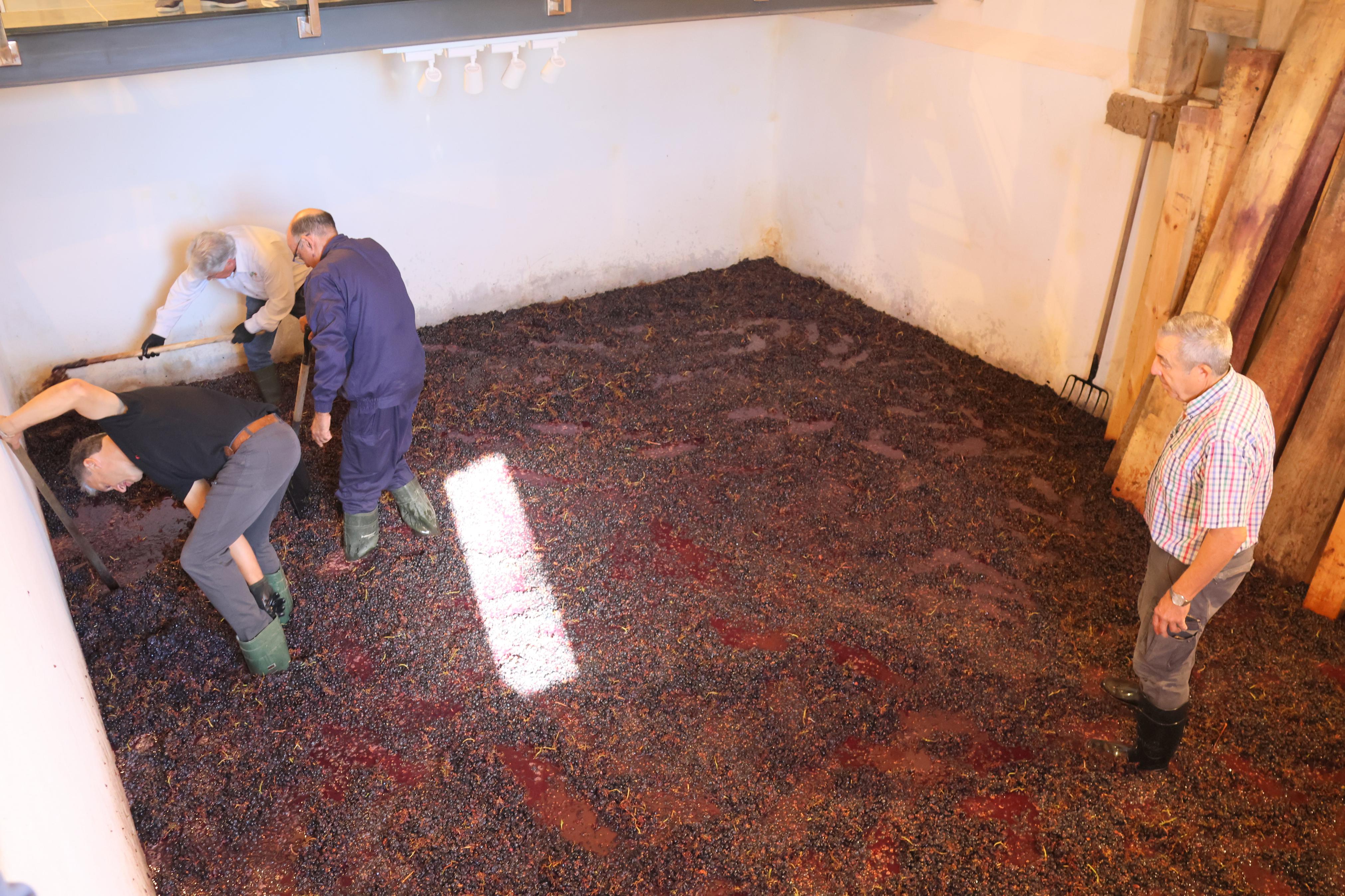 V Jornada &#039;De Lagares&#039; en Baltanás