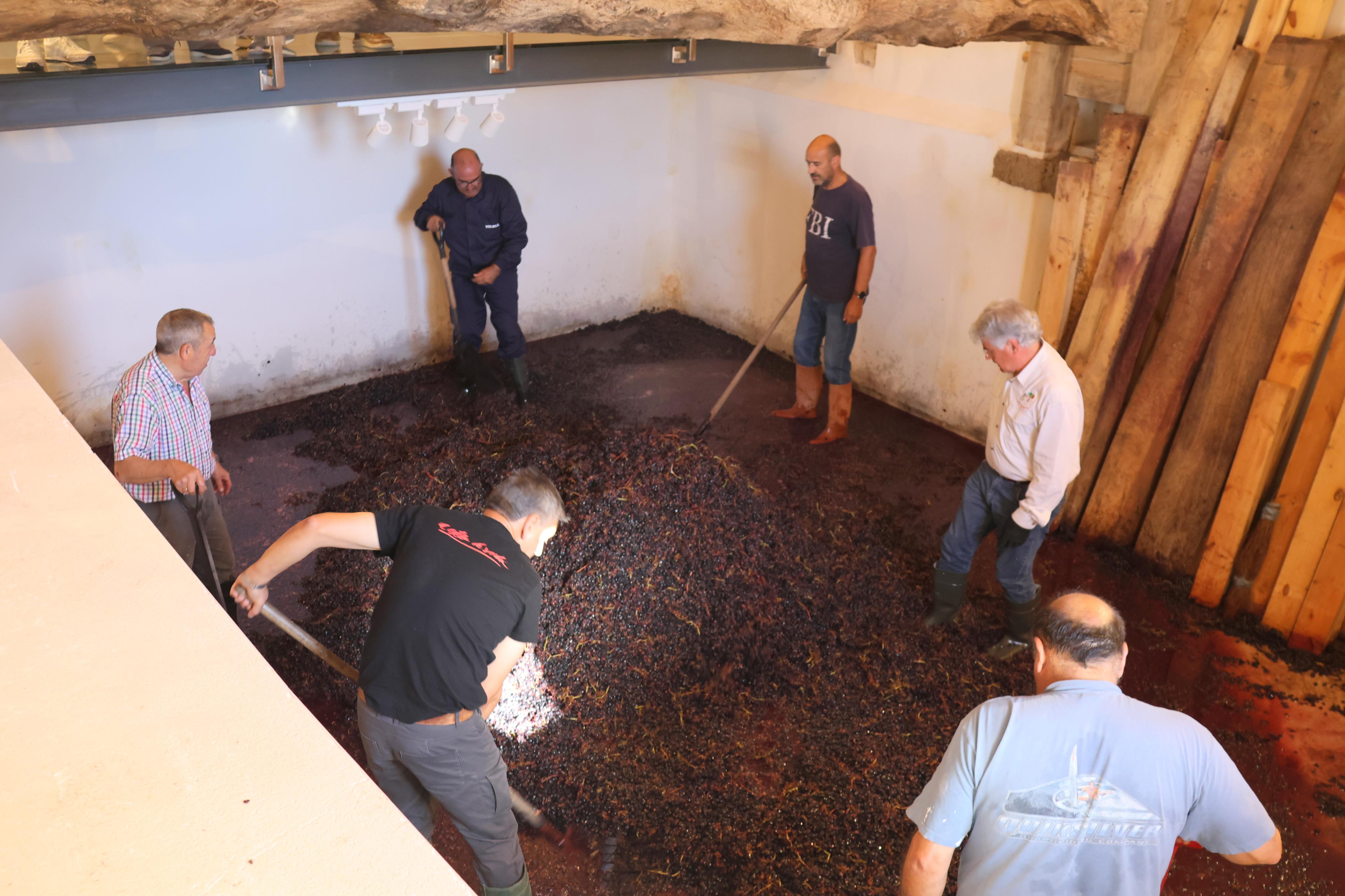 V Jornada &#039;De Lagares&#039; en Baltanás