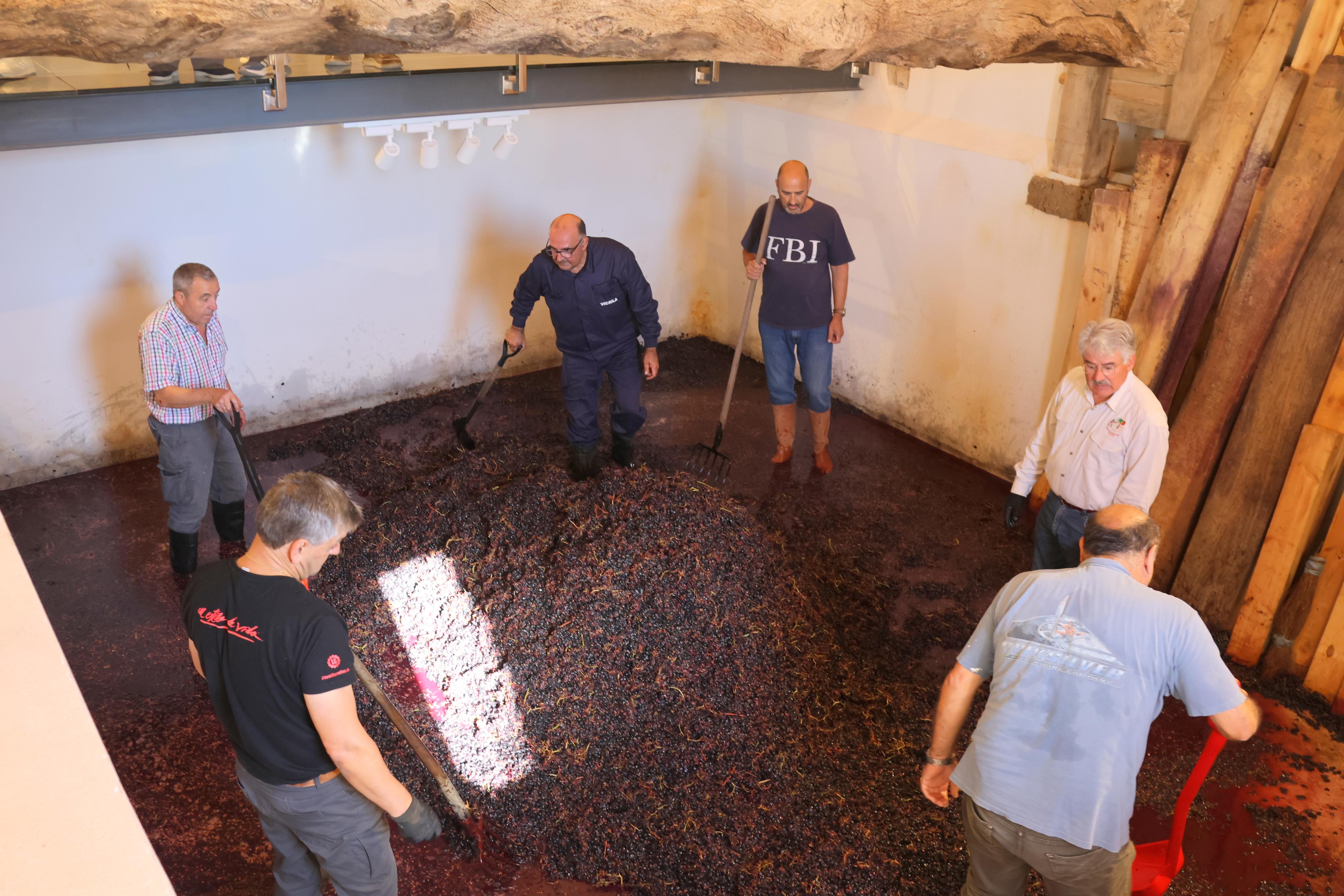 V Jornada &#039;De Lagares&#039; en Baltanás