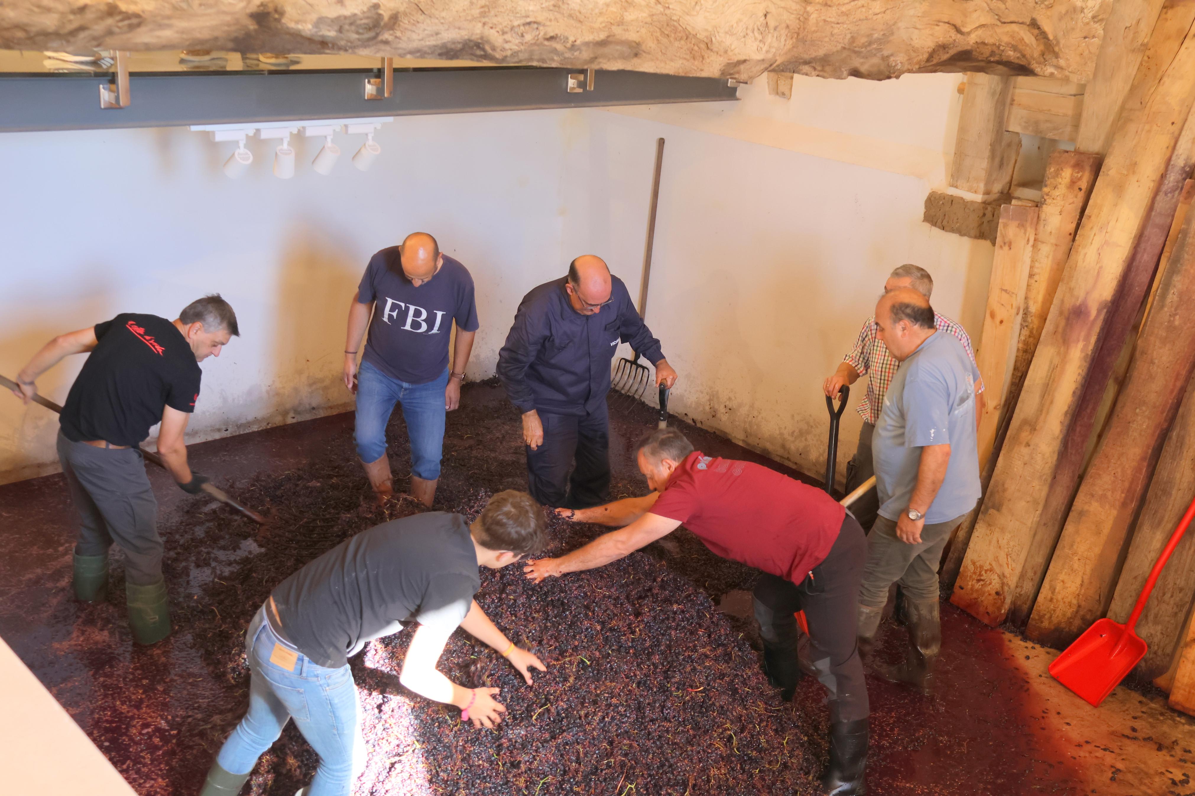 V Jornada &#039;De Lagares&#039; en Baltanás