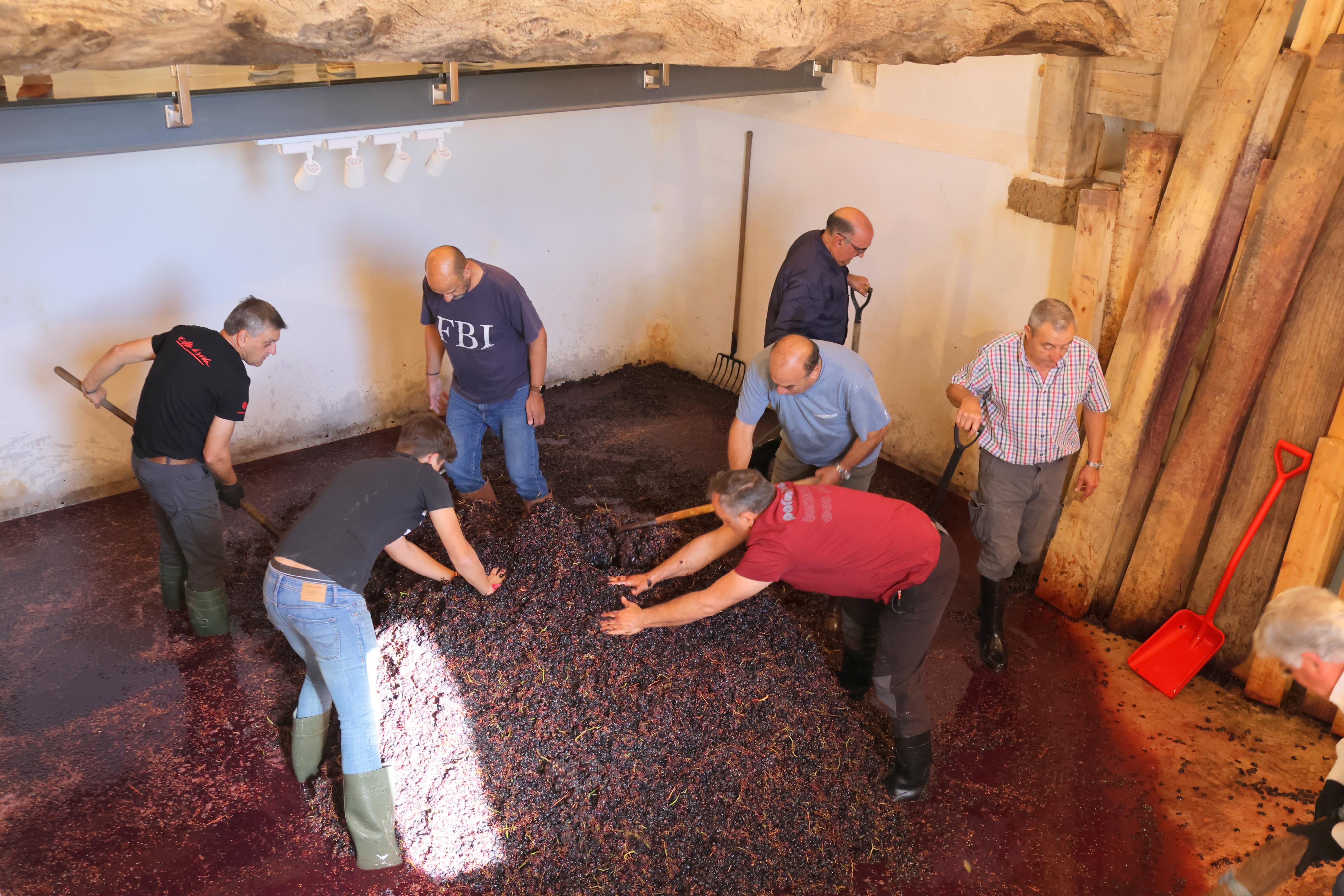 V Jornada &#039;De Lagares&#039; en Baltanás