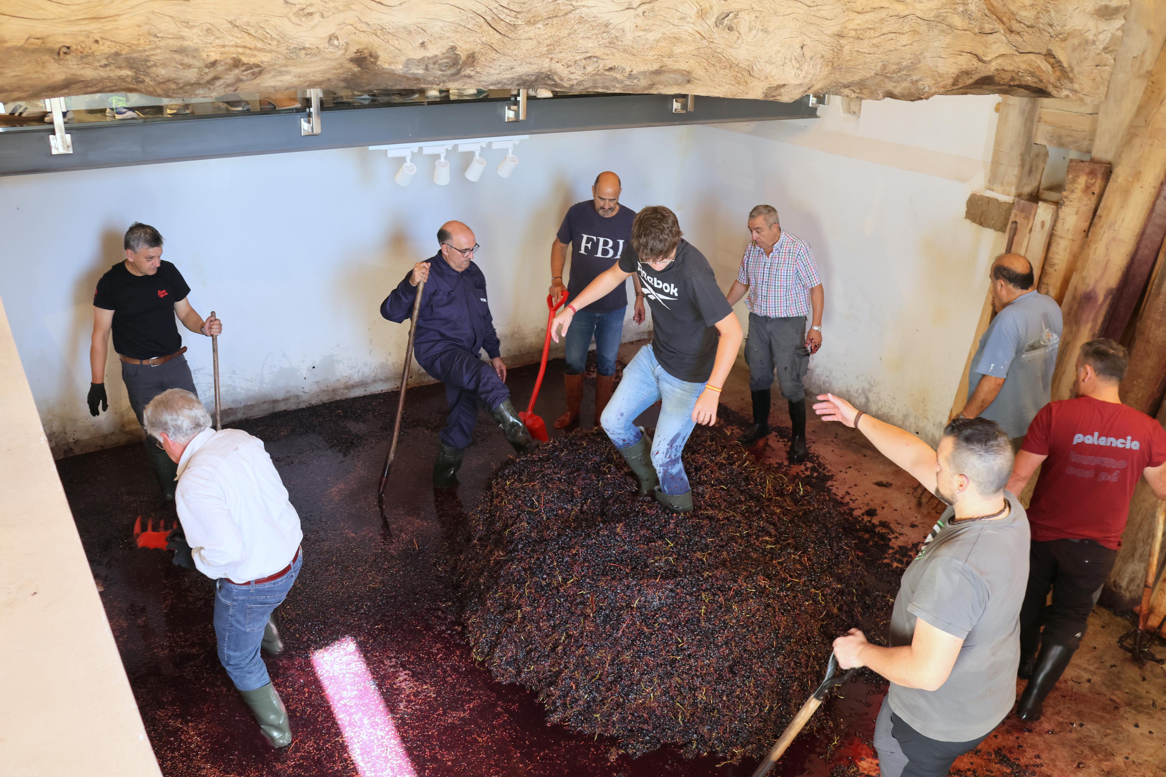 V Jornada &#039;De Lagares&#039; en Baltanás