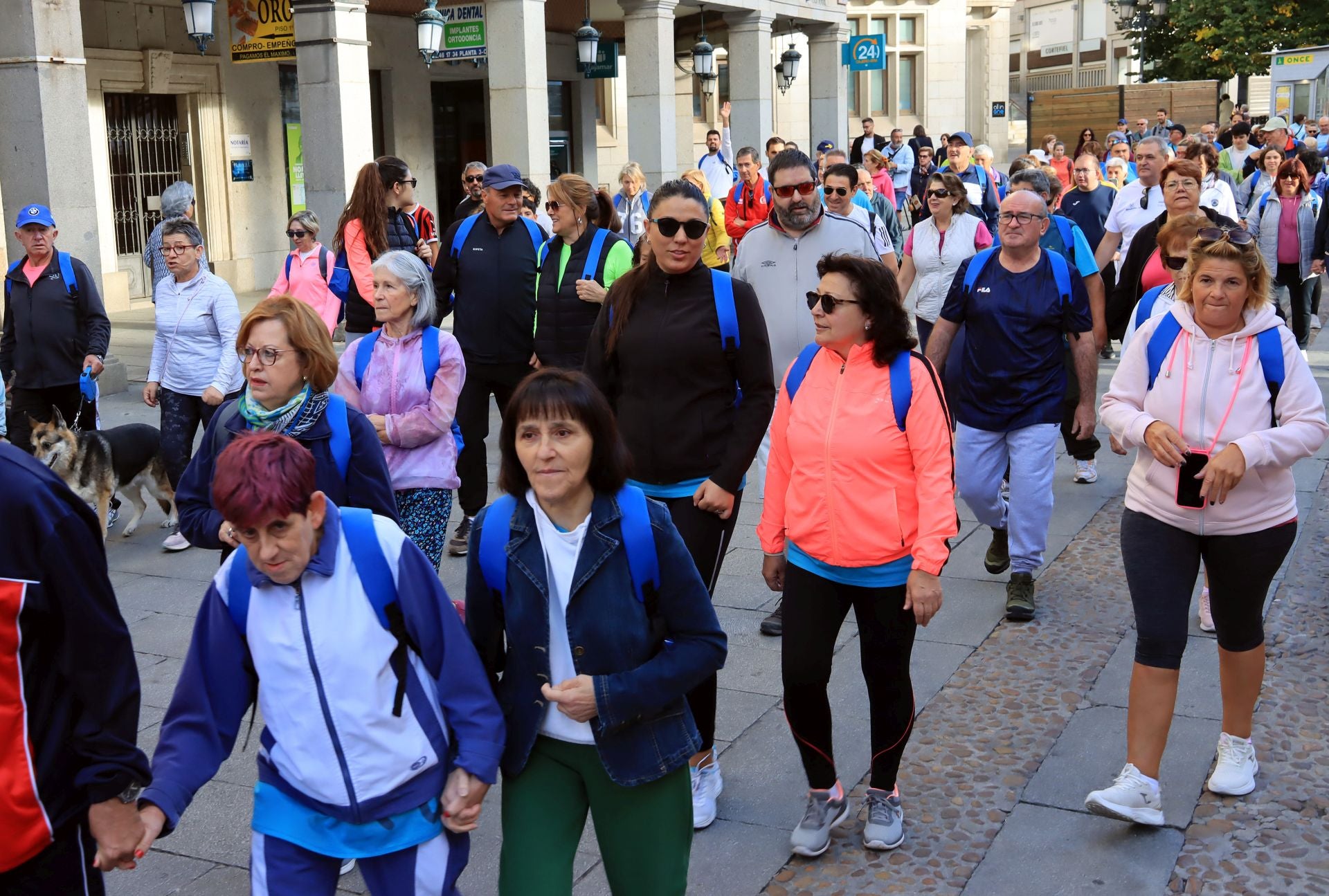La marcha Apadefim en Segovia, en imágenes