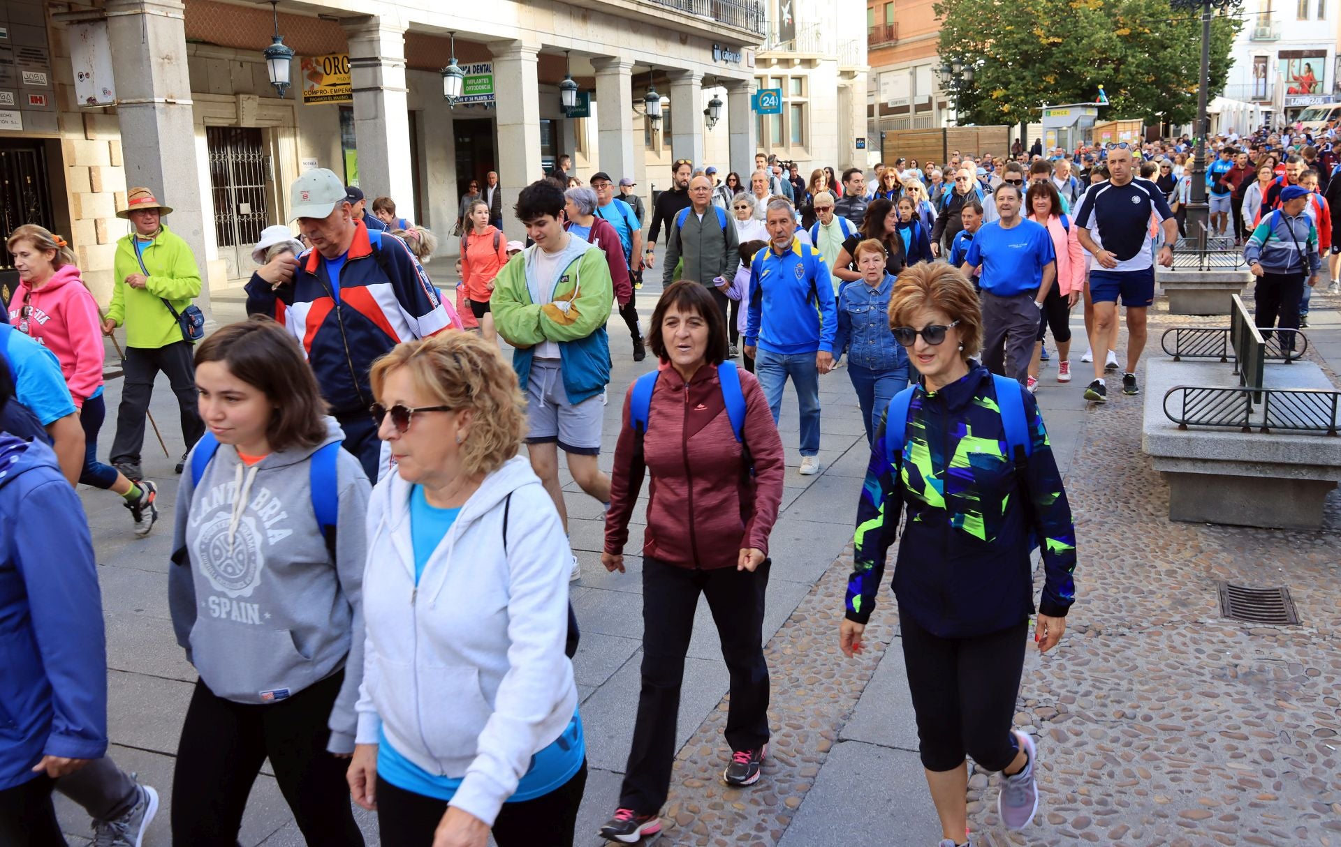 La marcha Apadefim en Segovia, en imágenes