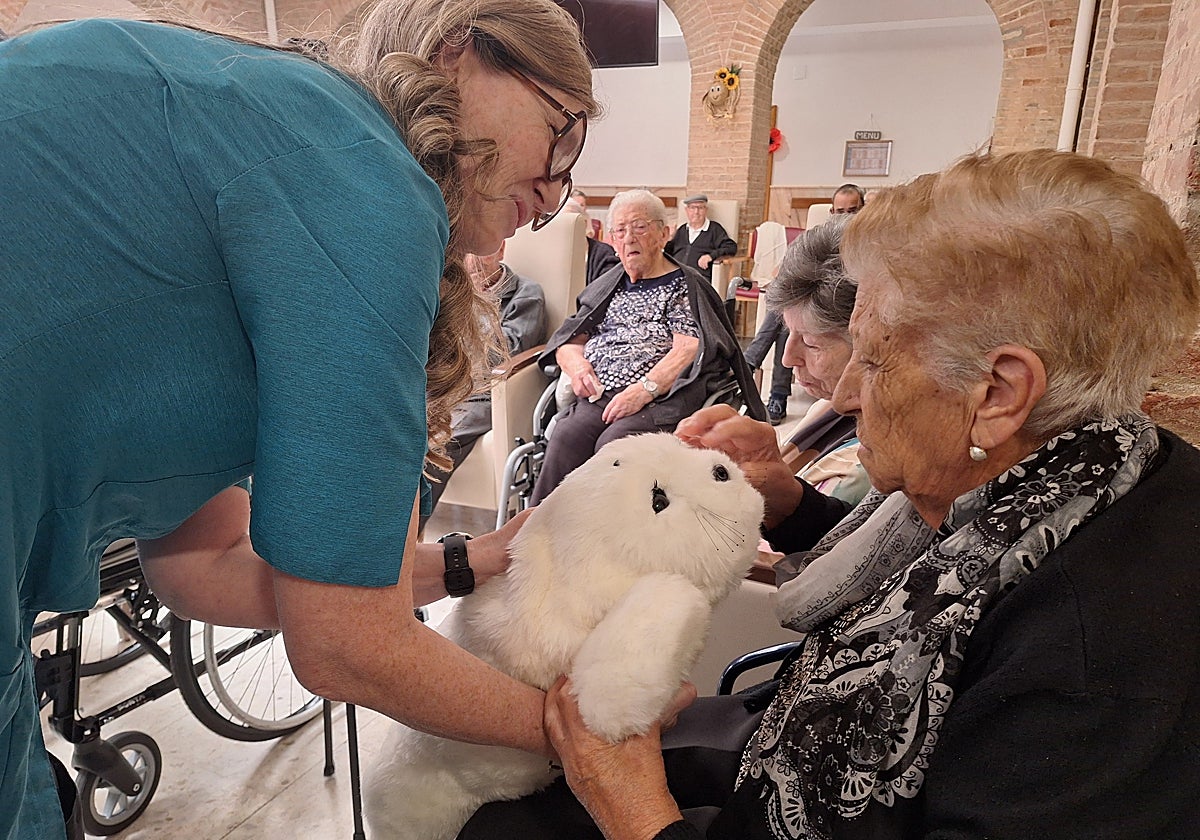 El robot Nuka llega a Mayorga para acompañar a las personas mayores