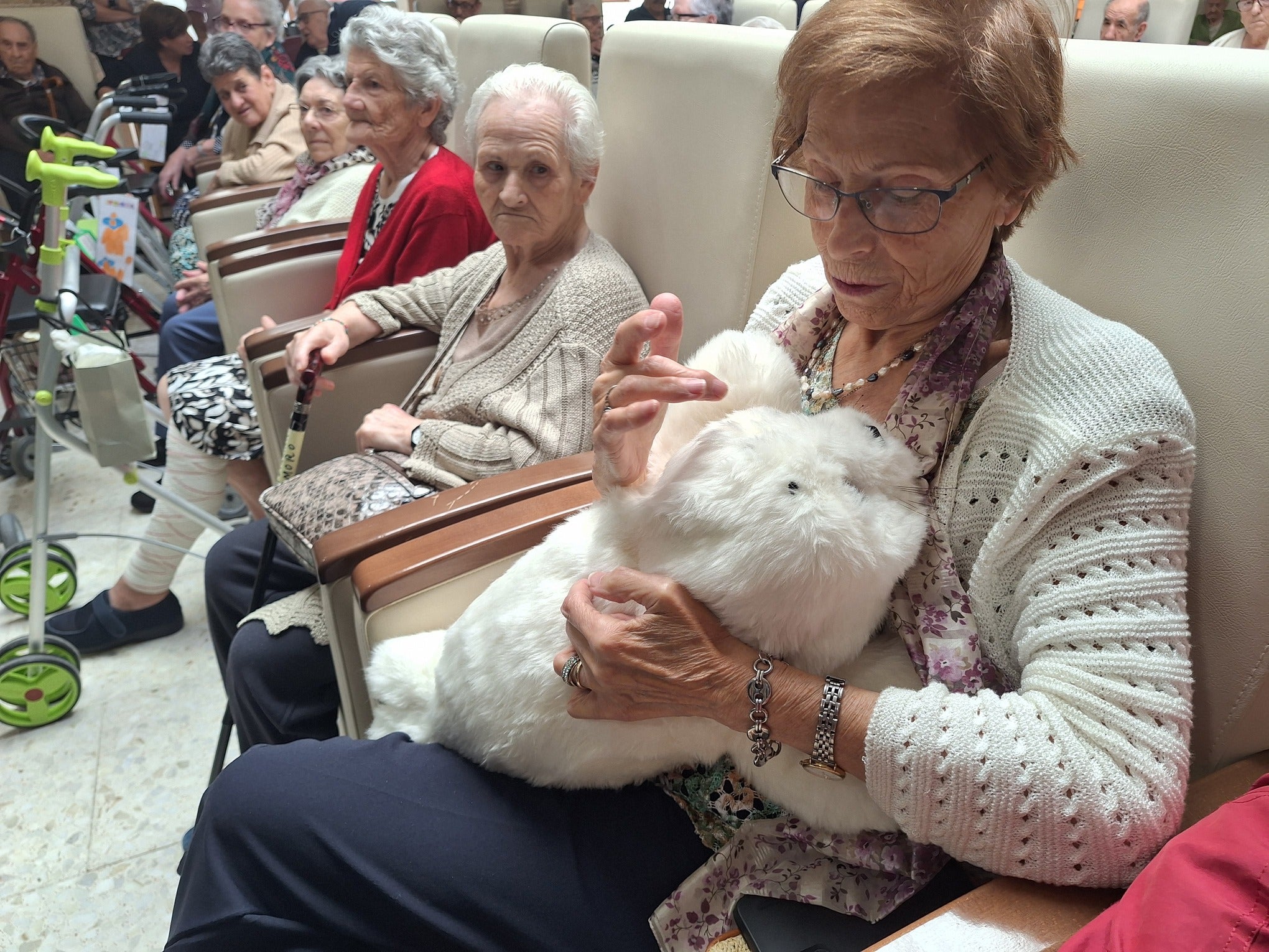 El robot Nuka llega a Mayorga para acompañar a las personas mayores