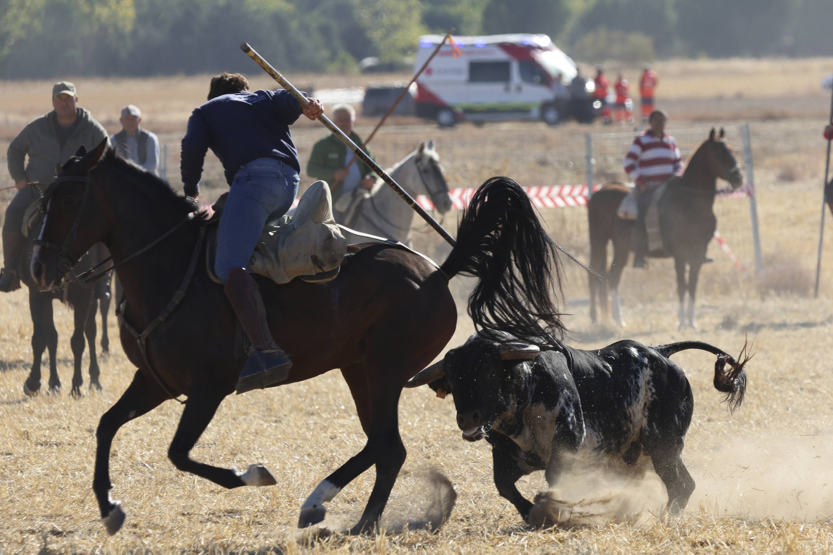 El último encierro mixto de las fiestas de Mojados 2025, en imágenes