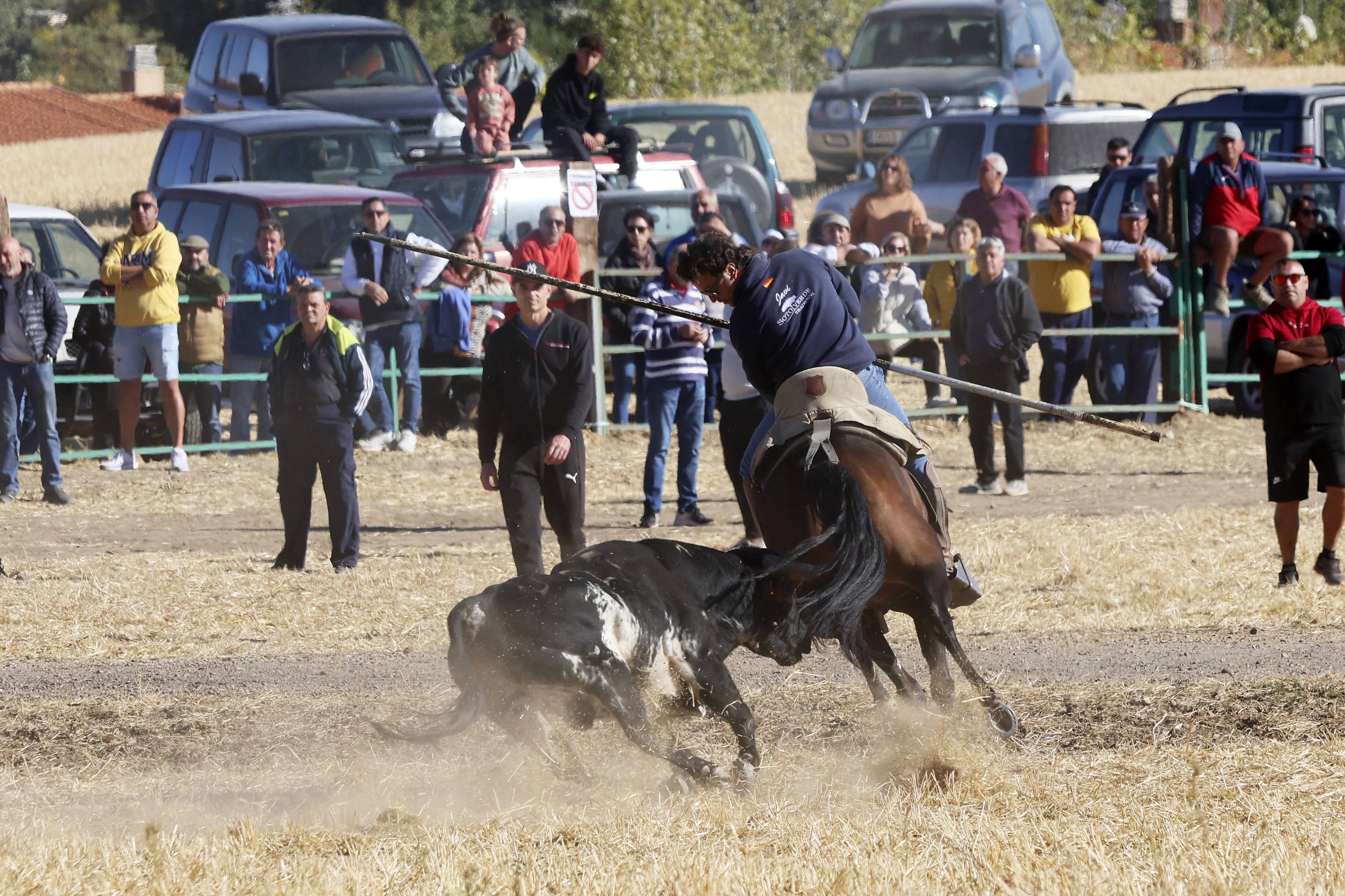 El último encierro mixto de las fiestas de Mojados 2025, en imágenes