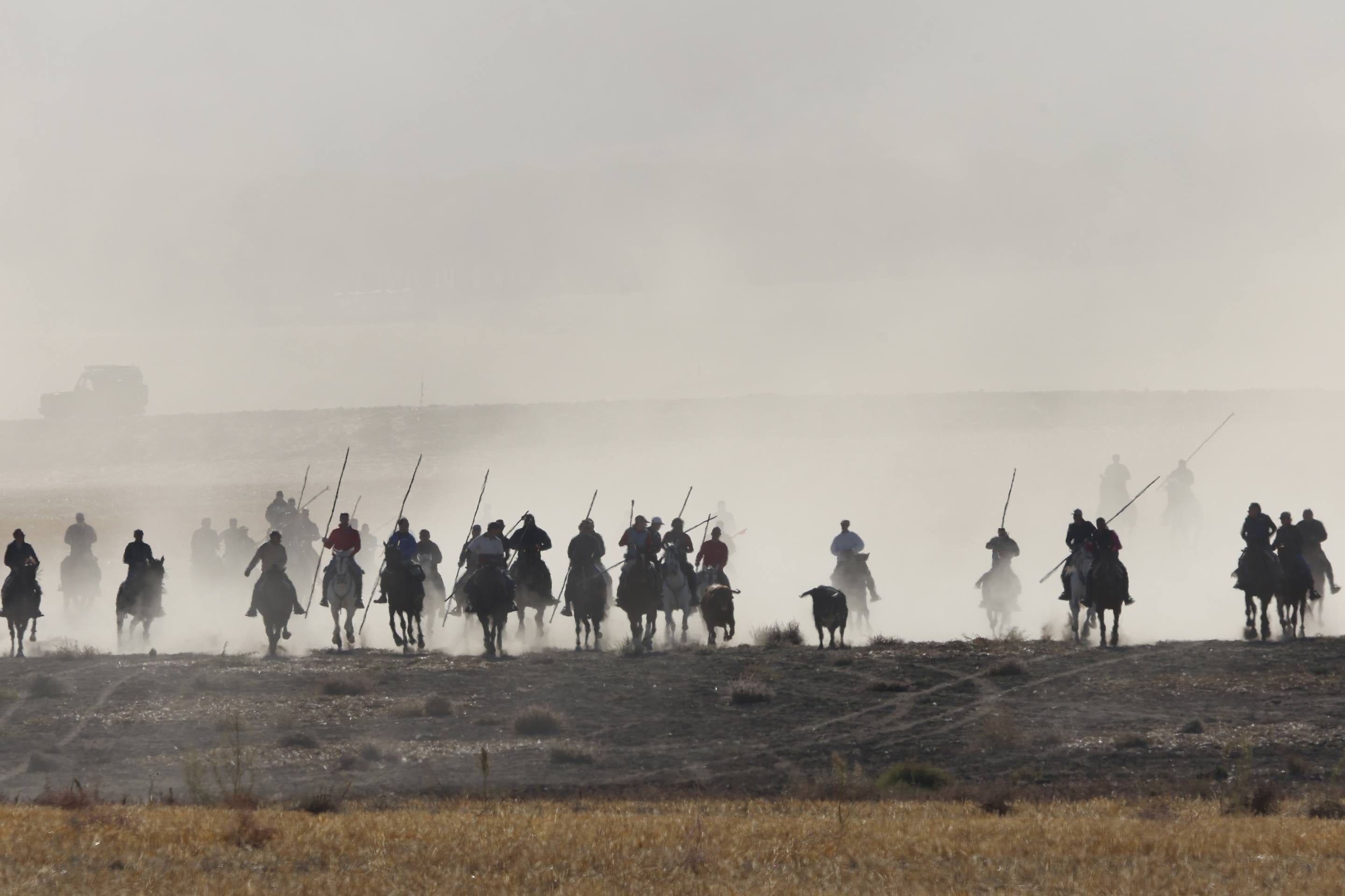 El último encierro mixto de las fiestas de Mojados 2025, en imágenes