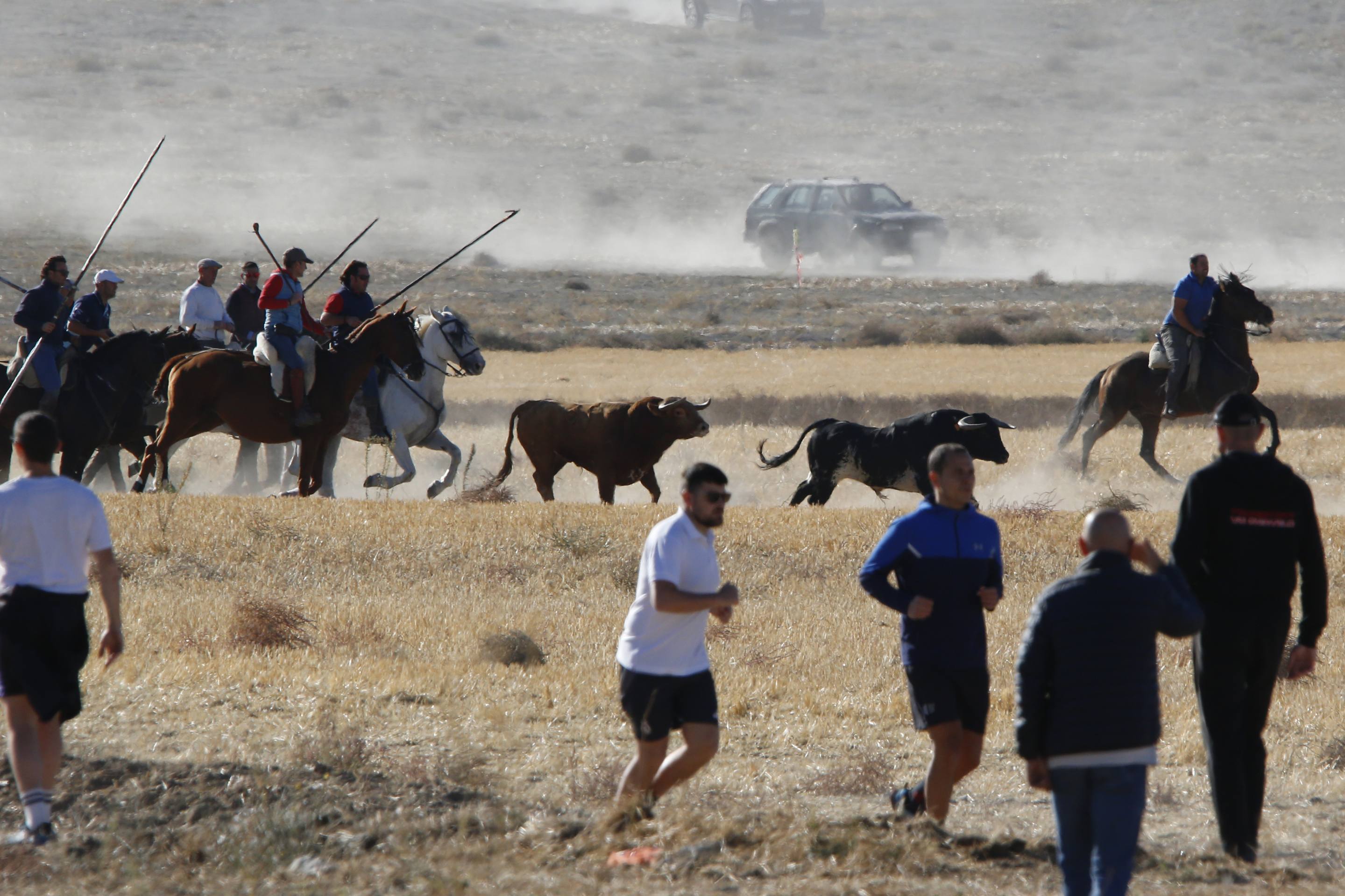 El último encierro mixto de las fiestas de Mojados 2025, en imágenes