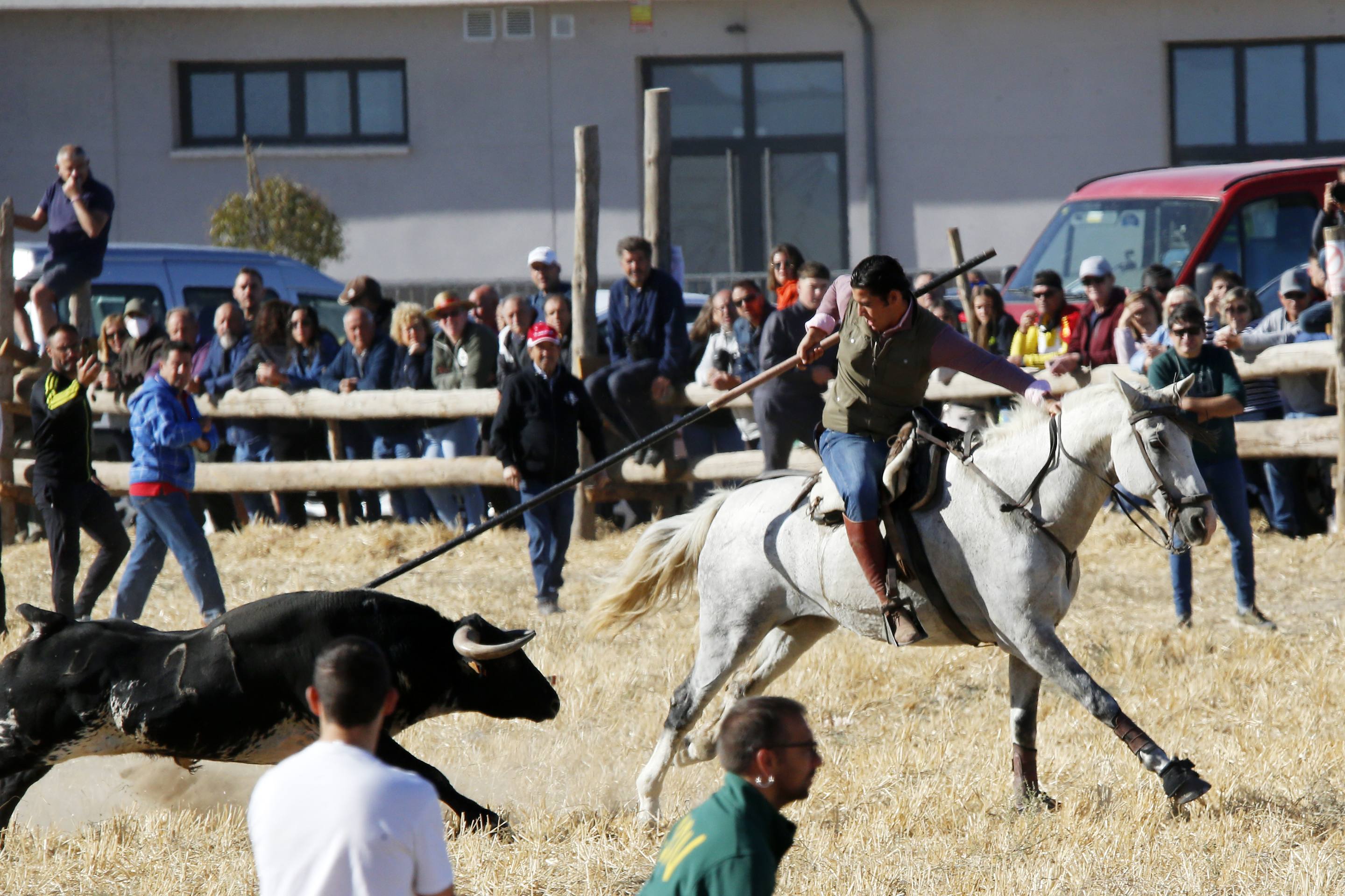 El último encierro mixto de las fiestas de Mojados 2025, en imágenes