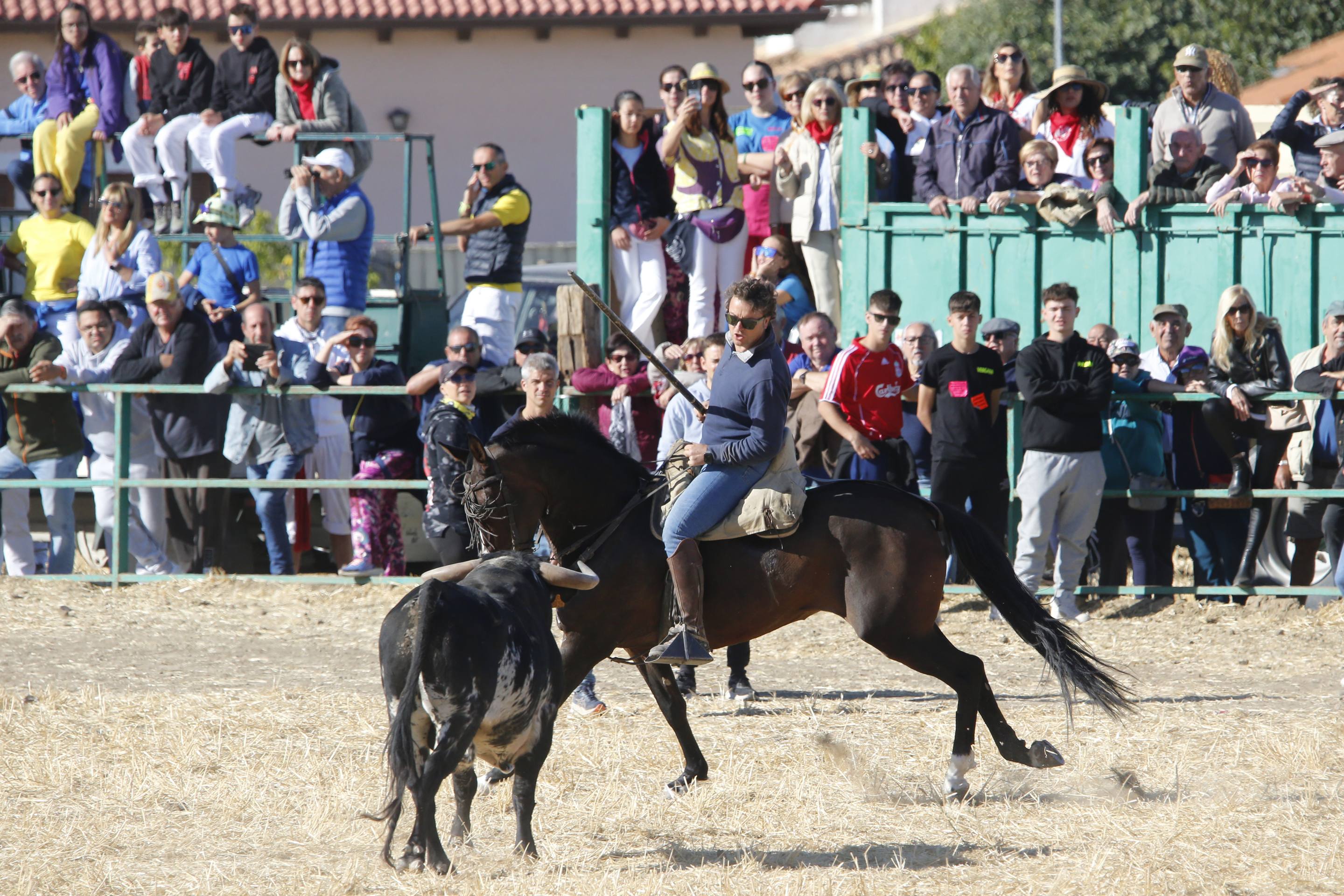 El último encierro mixto de las fiestas de Mojados 2025, en imágenes