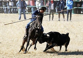 Imágenes del último encierro de las fiestas de Mojados celebrado este lunes en el entorno de la localidad vallisoletana