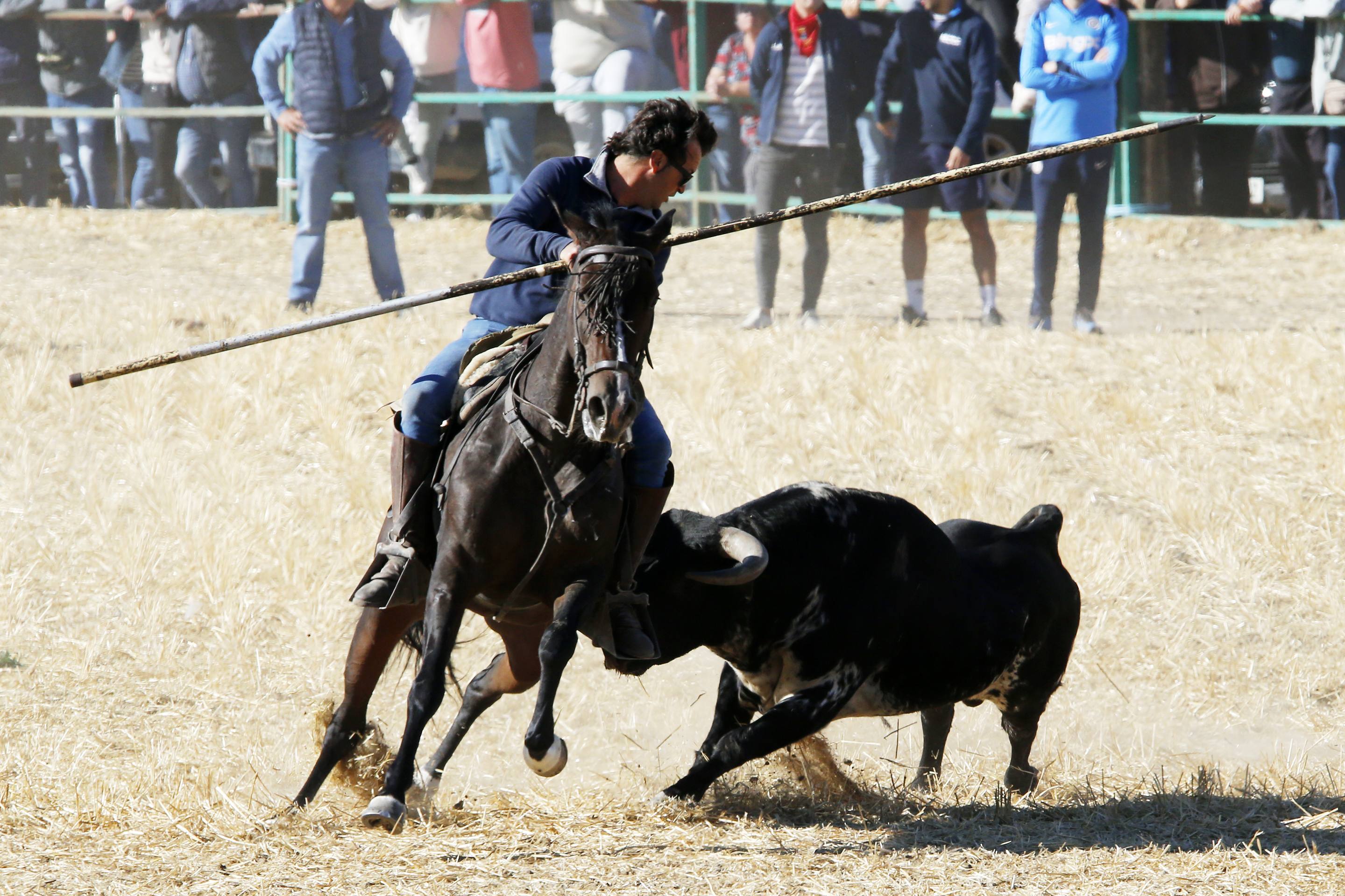 El último encierro mixto de las fiestas de Mojados 2025, en imágenes