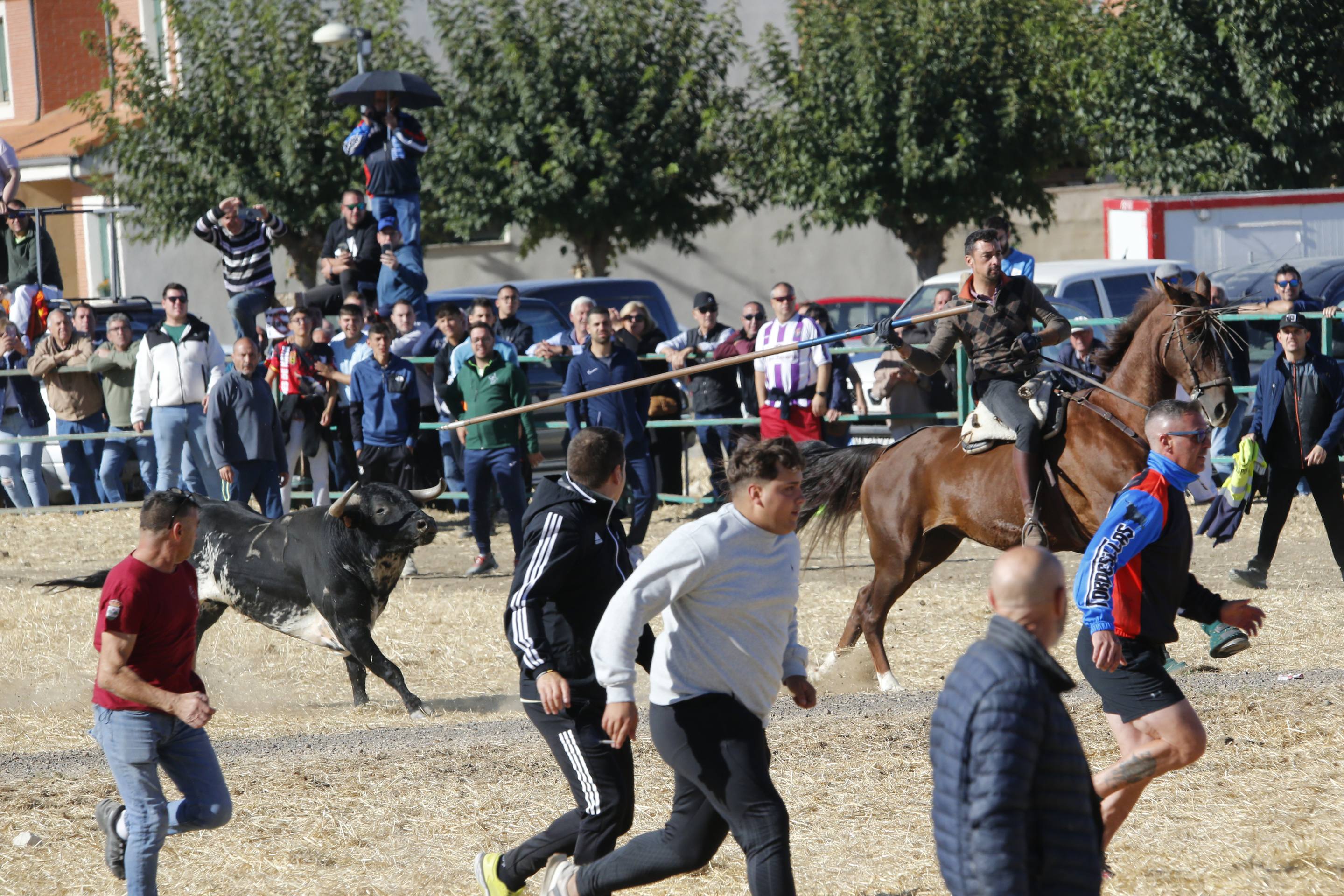El último encierro mixto de las fiestas de Mojados 2025, en imágenes