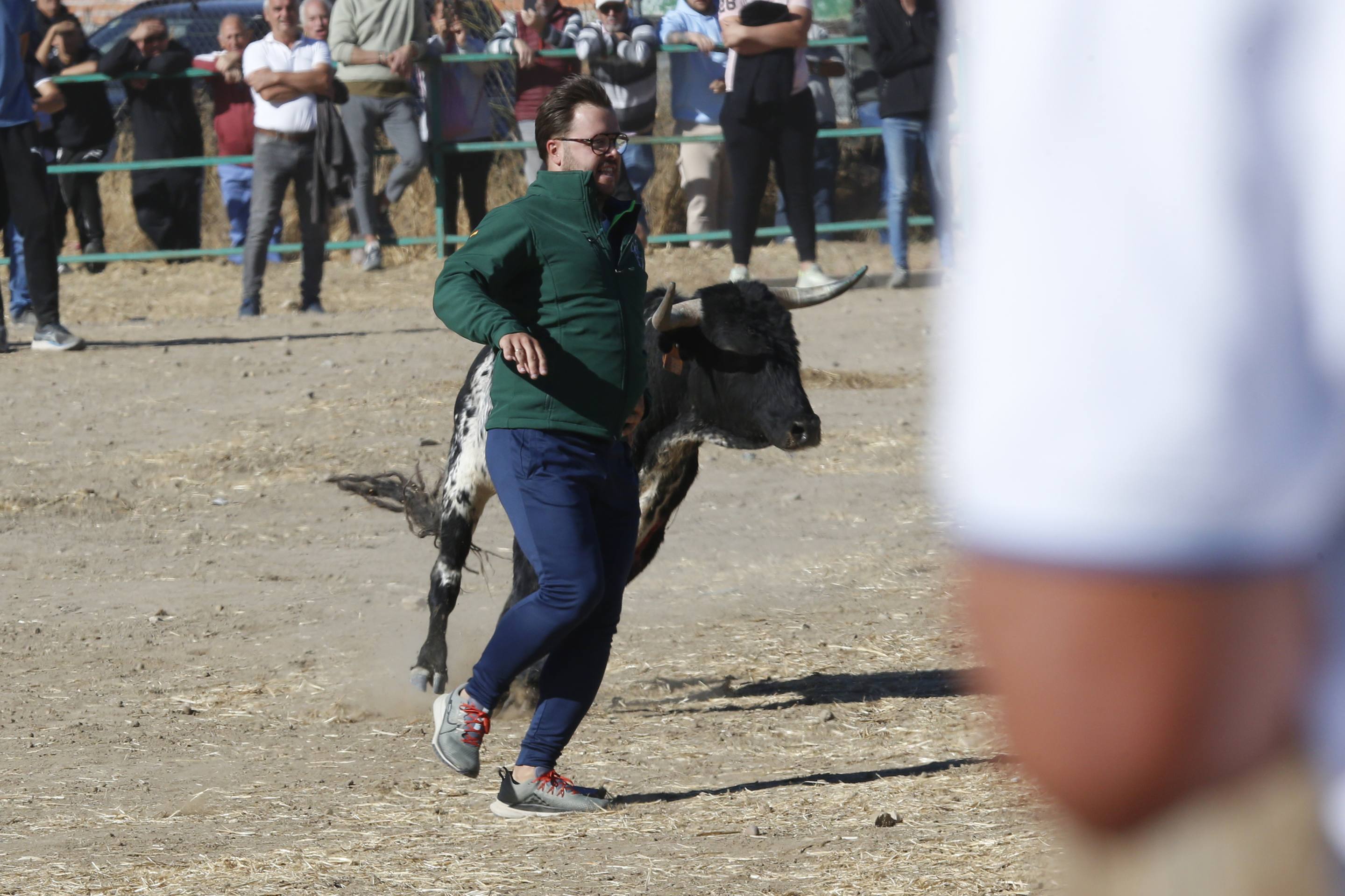 El último encierro mixto de las fiestas de Mojados 2025, en imágenes