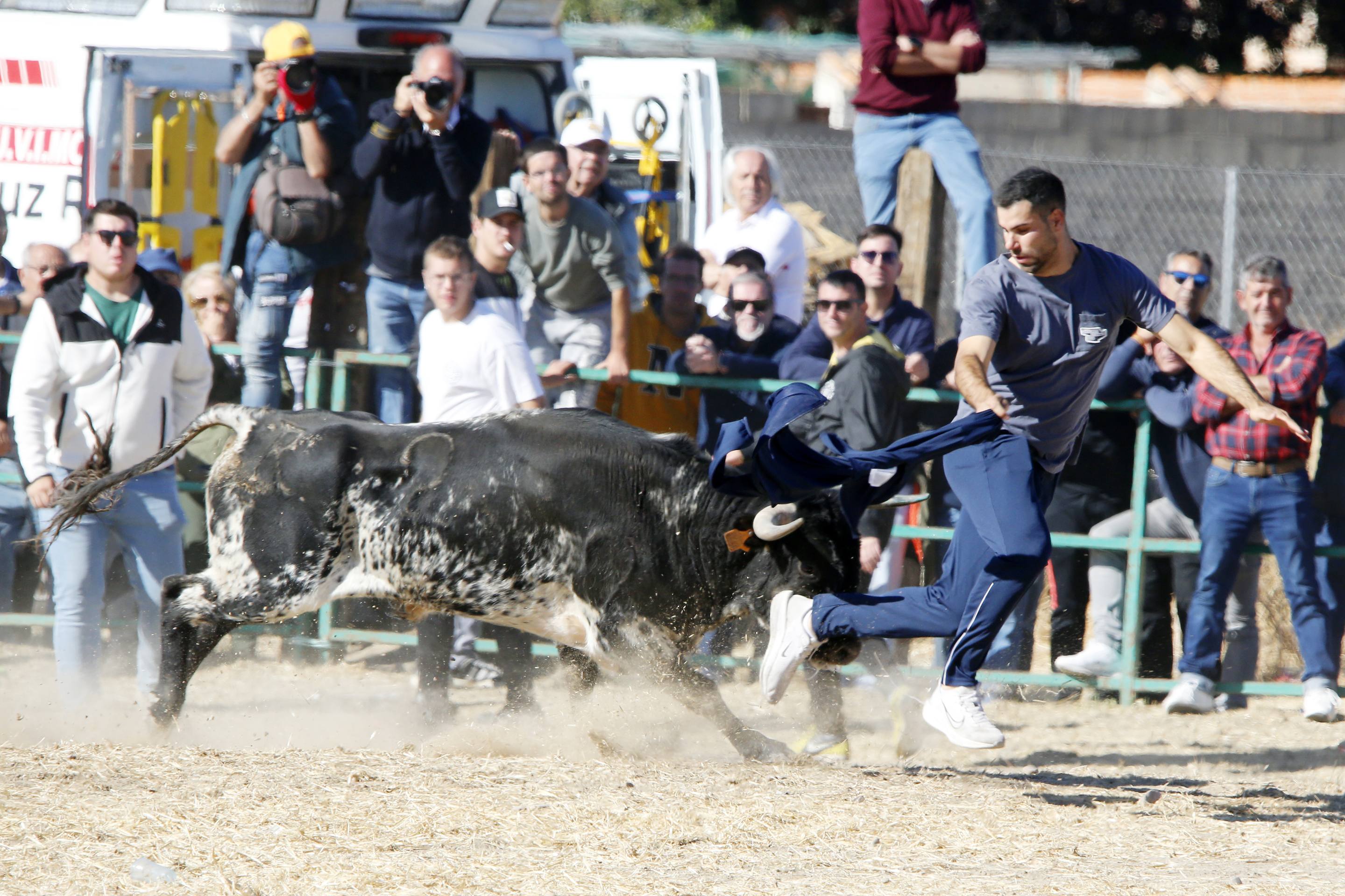 El último encierro mixto de las fiestas de Mojados 2025, en imágenes