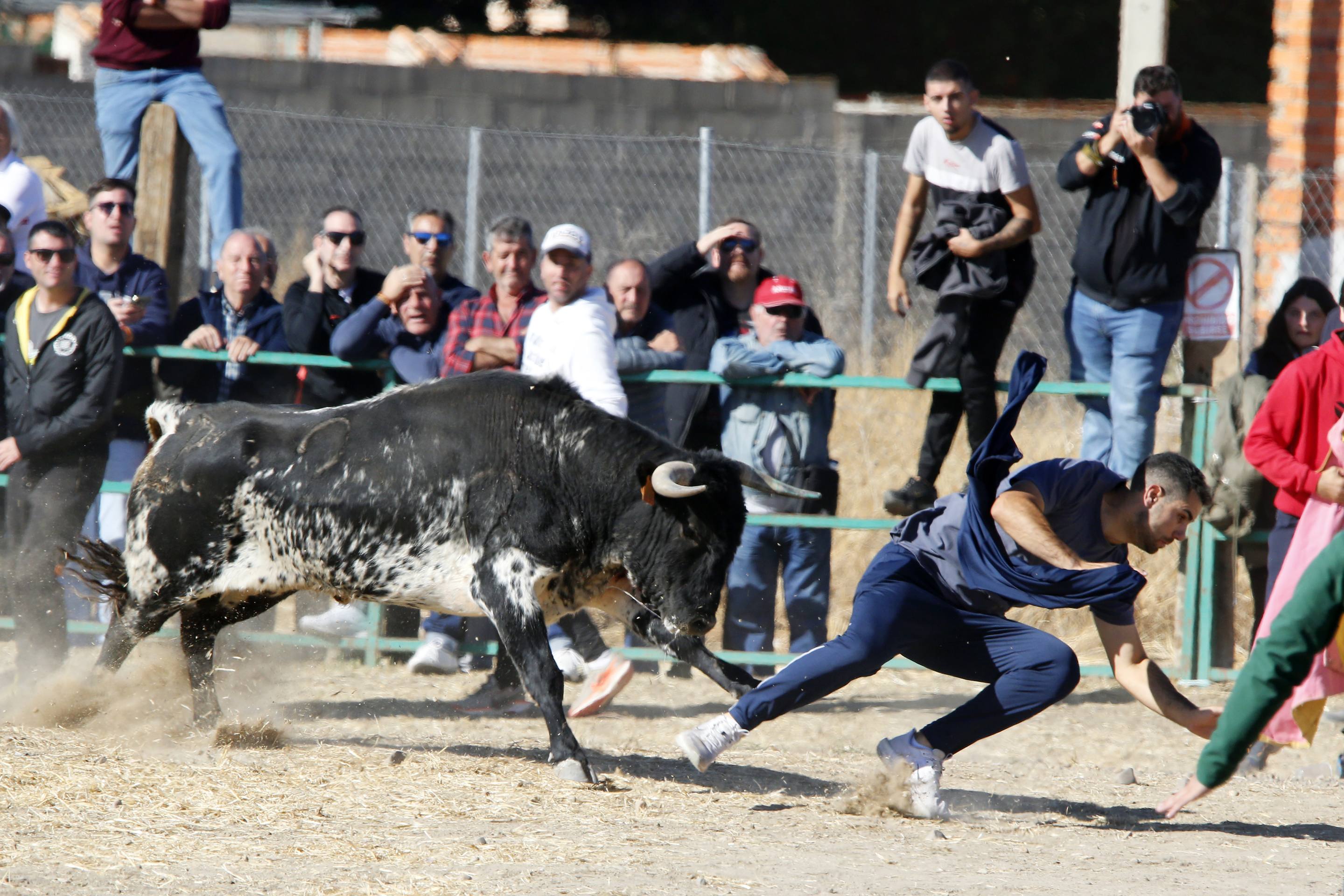 El último encierro mixto de las fiestas de Mojados 2025, en imágenes