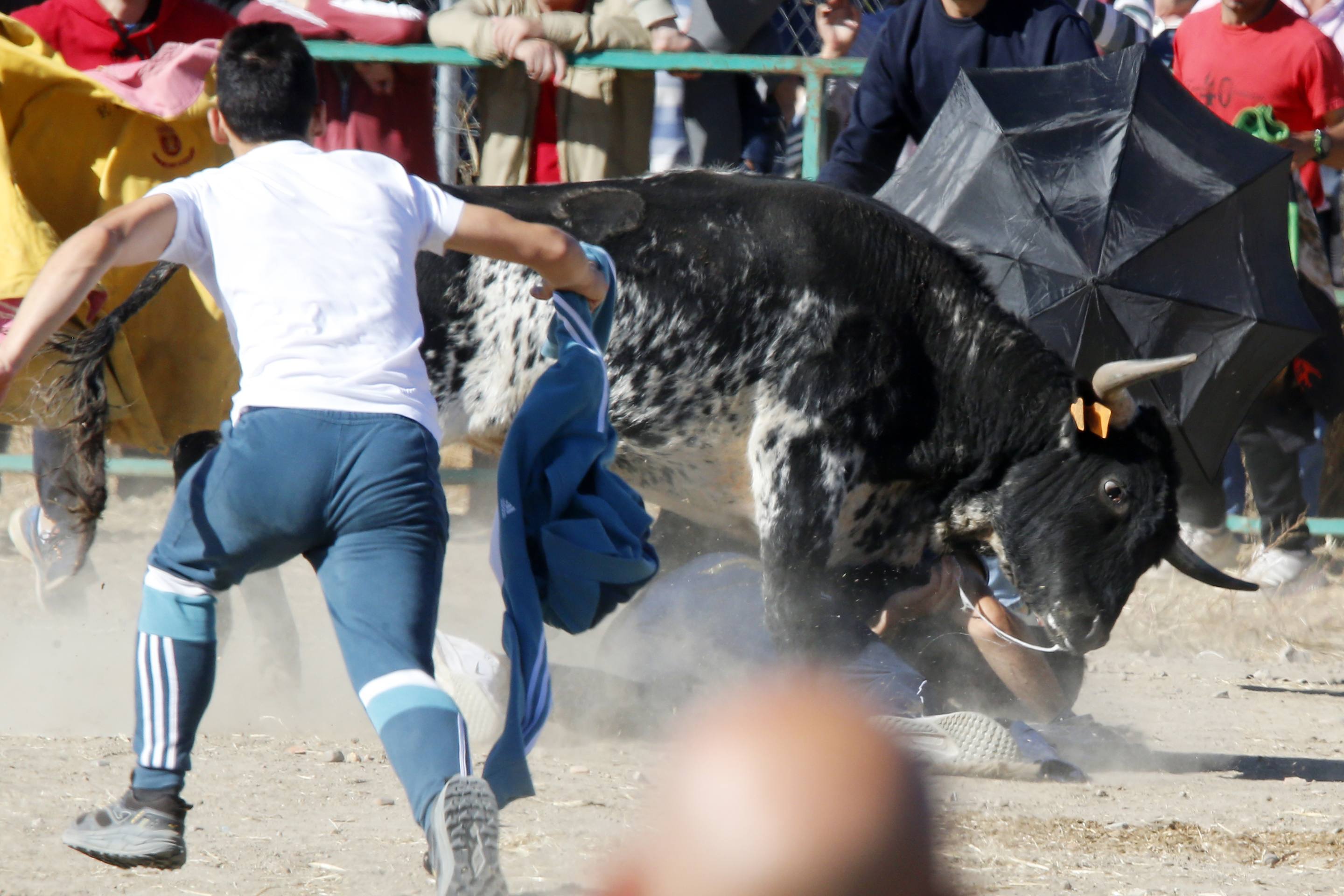 El último encierro mixto de las fiestas de Mojados 2025, en imágenes