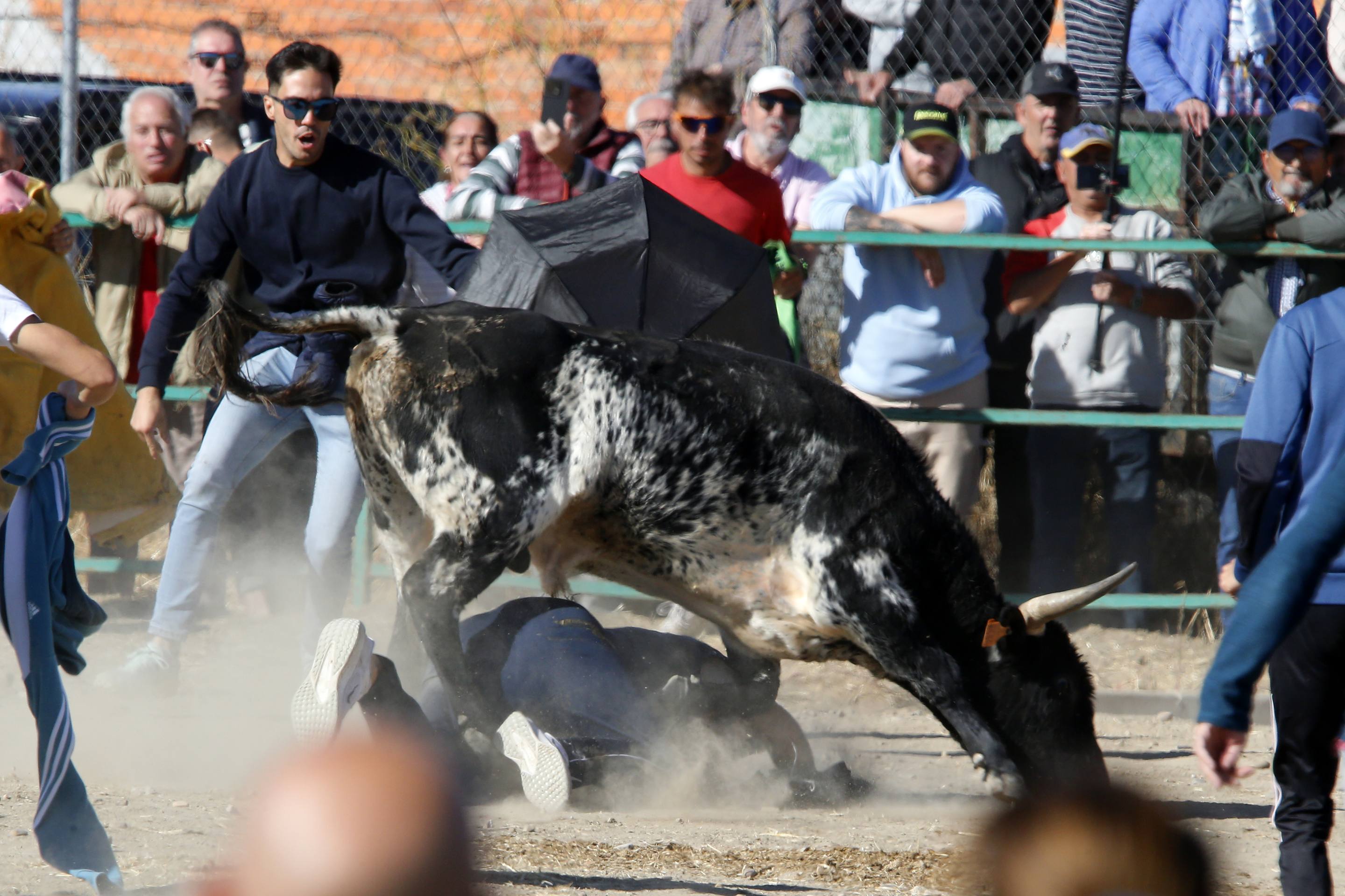 El último encierro mixto de las fiestas de Mojados 2025, en imágenes
