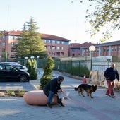 Un hombre utiliza uno de los nuevos bancos en el entorno del Tierno Galván.