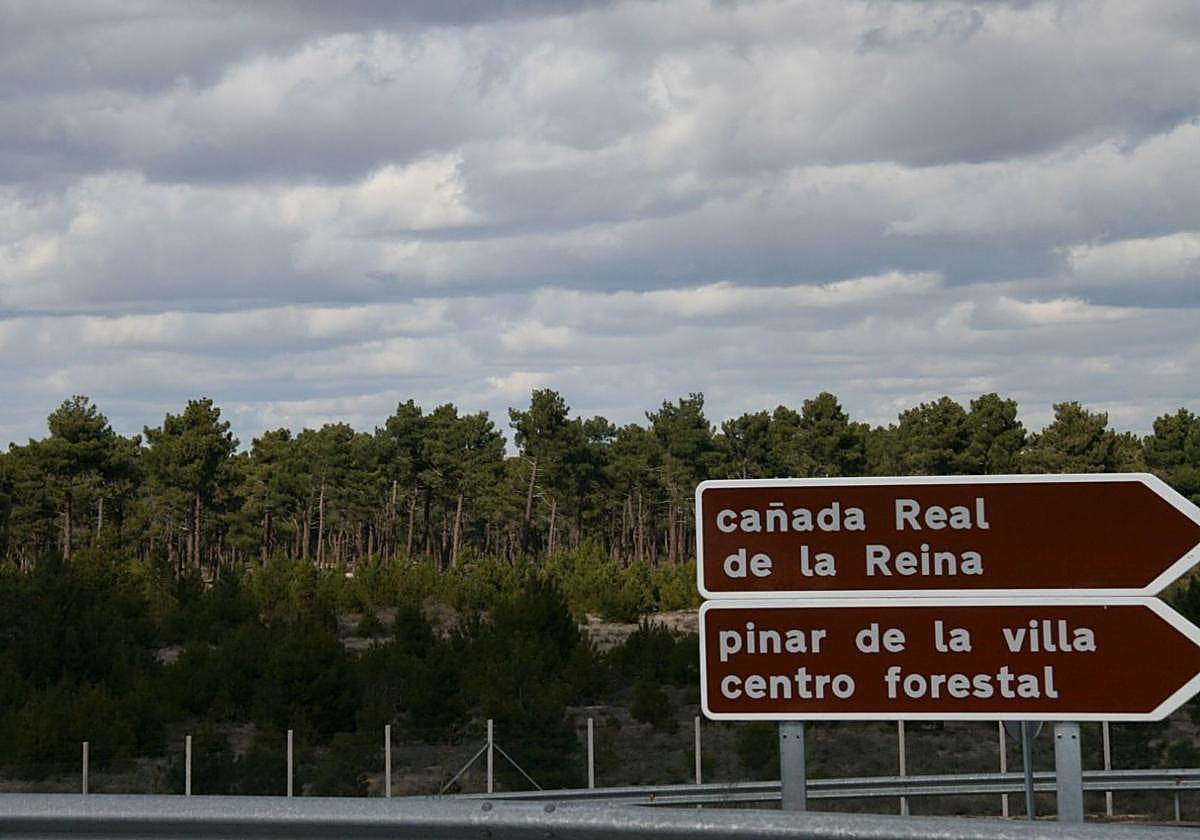 Montes y pinar Comunidad Villa y Tierra de Cuéllar.