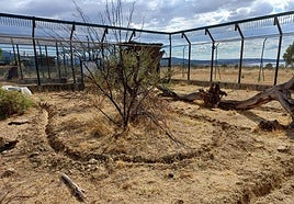 Fibra óptica en las zonas preparadas para los linces.