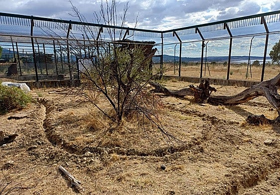 Fibra óptica en las zonas preparadas para los linces.