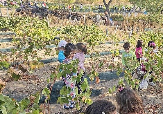 Los más pequeños, entre los viñedos.