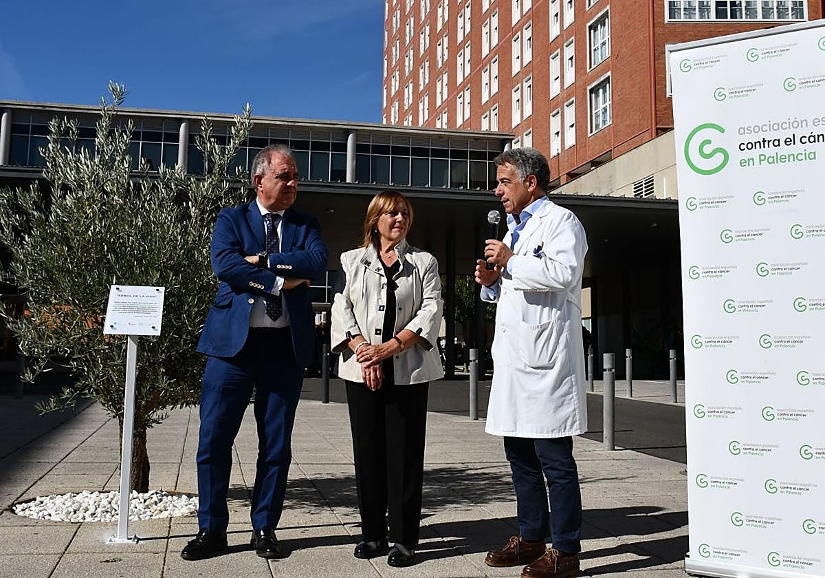 La presidenta de la AECC, entre el delegado de la Junta y el gerente de Asistencia Sanitaria, junto al olivo.