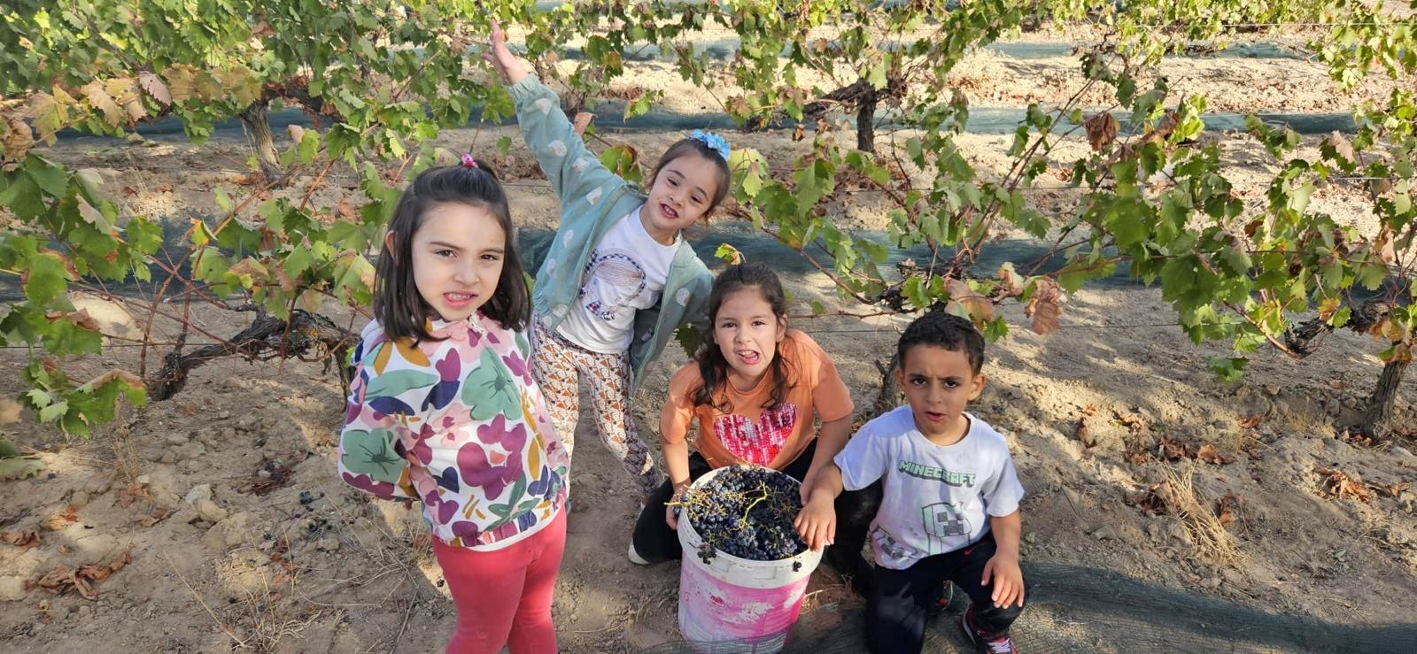 Alumnos de Baltanás celebran la Fiesta de la Vendimia