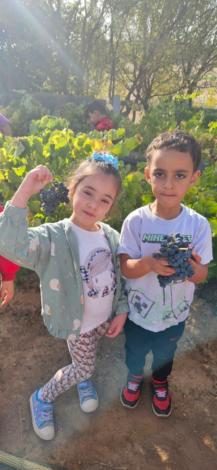 Alumnos de Baltanás celebran la Fiesta de la Vendimia