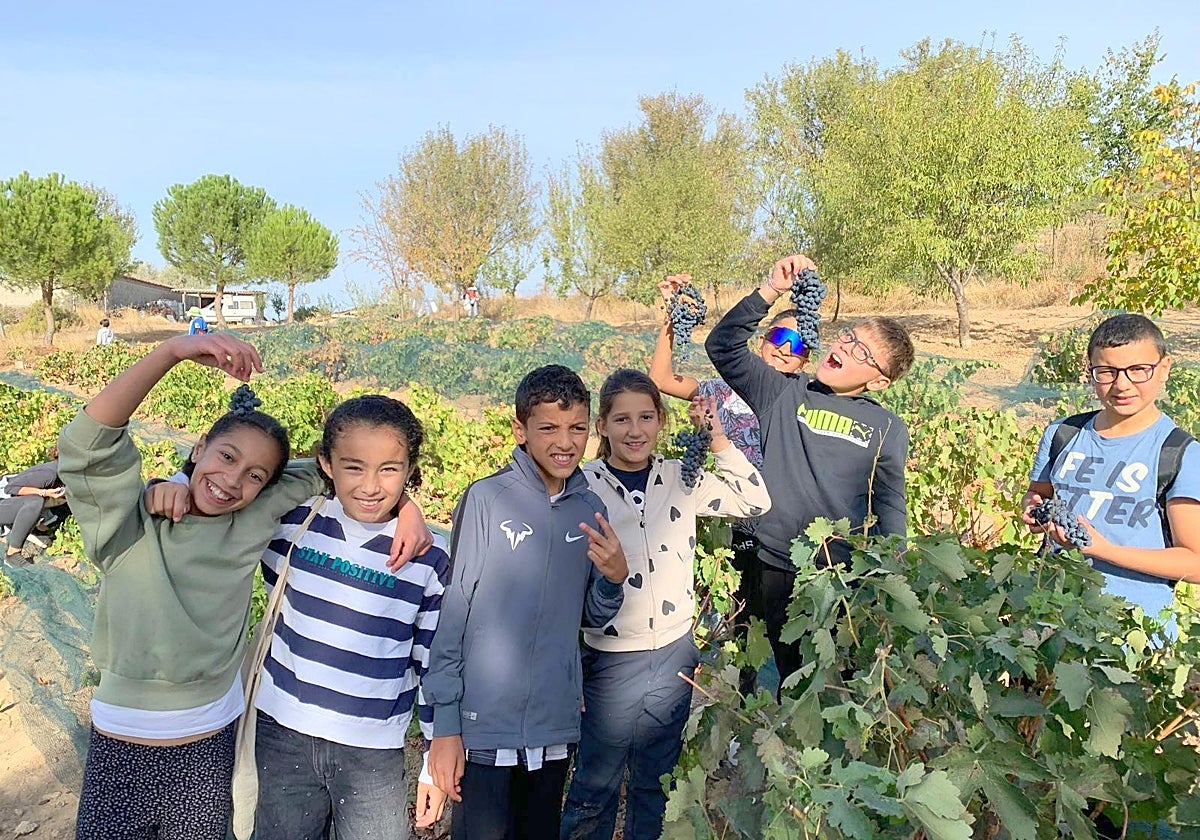 Alumnos de Baltanás celebran la Fiesta de la Vendimia