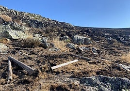 Daños causados por el incendio forestal de Resoba.