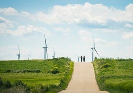 Parque eólico ubicado en Burgos.