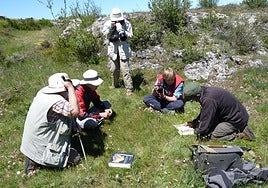 Un grupo de botánicos, en Las Tuerces.