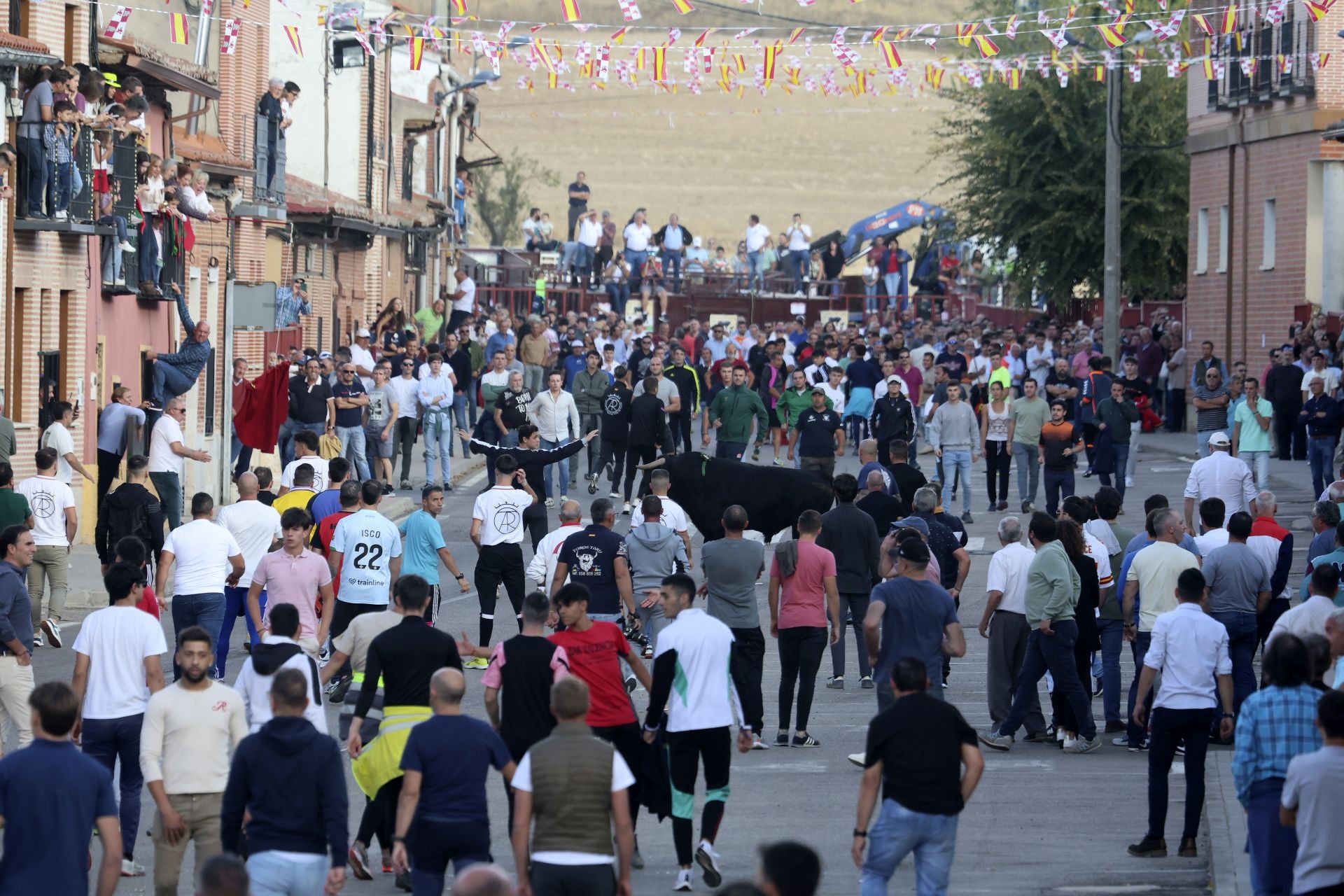 Las imágenes del toro de la vendimia en Rueda