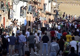 Las imágenes del toro de la vendimia en Rueda