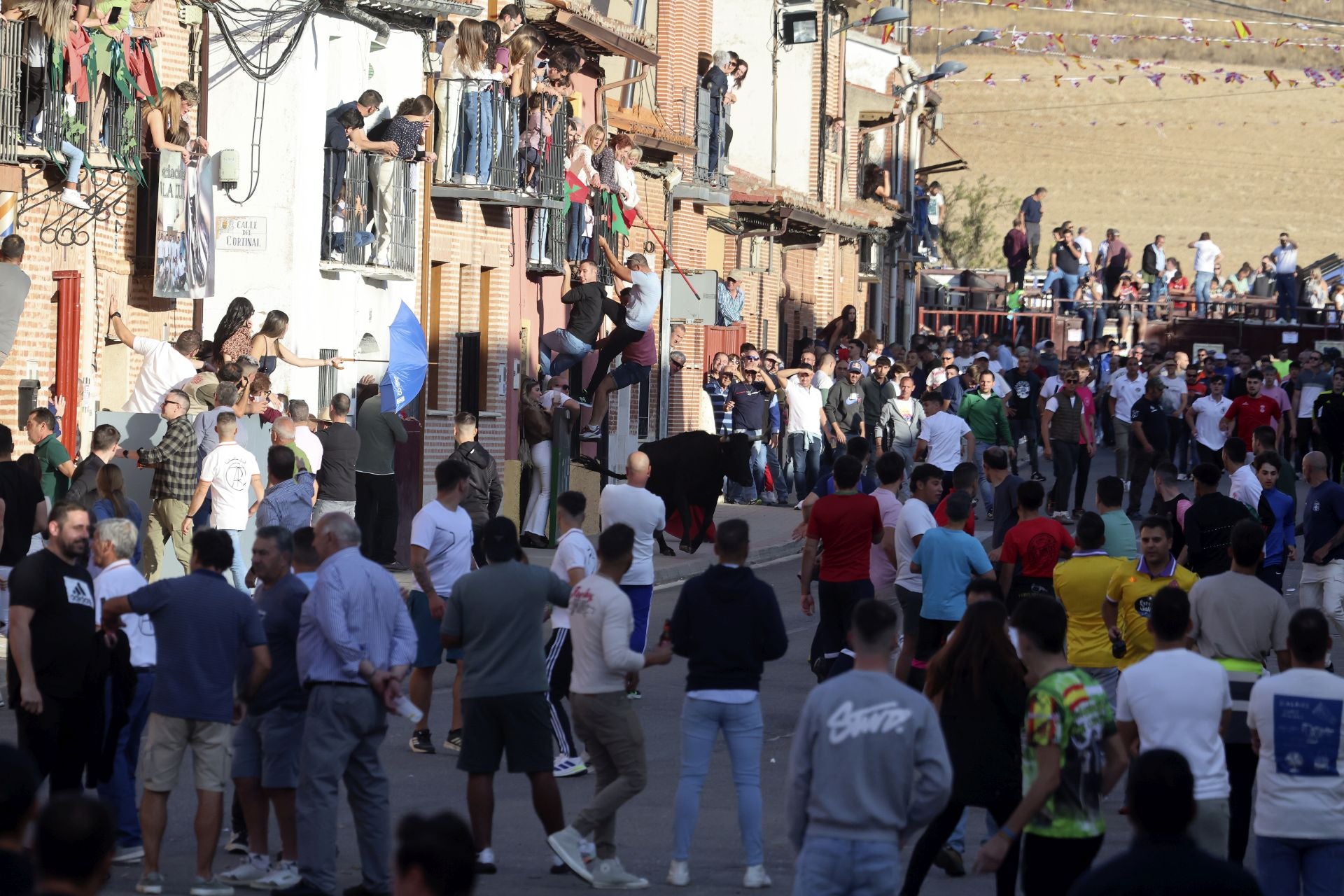 Las imágenes del toro de la vendimia en Rueda