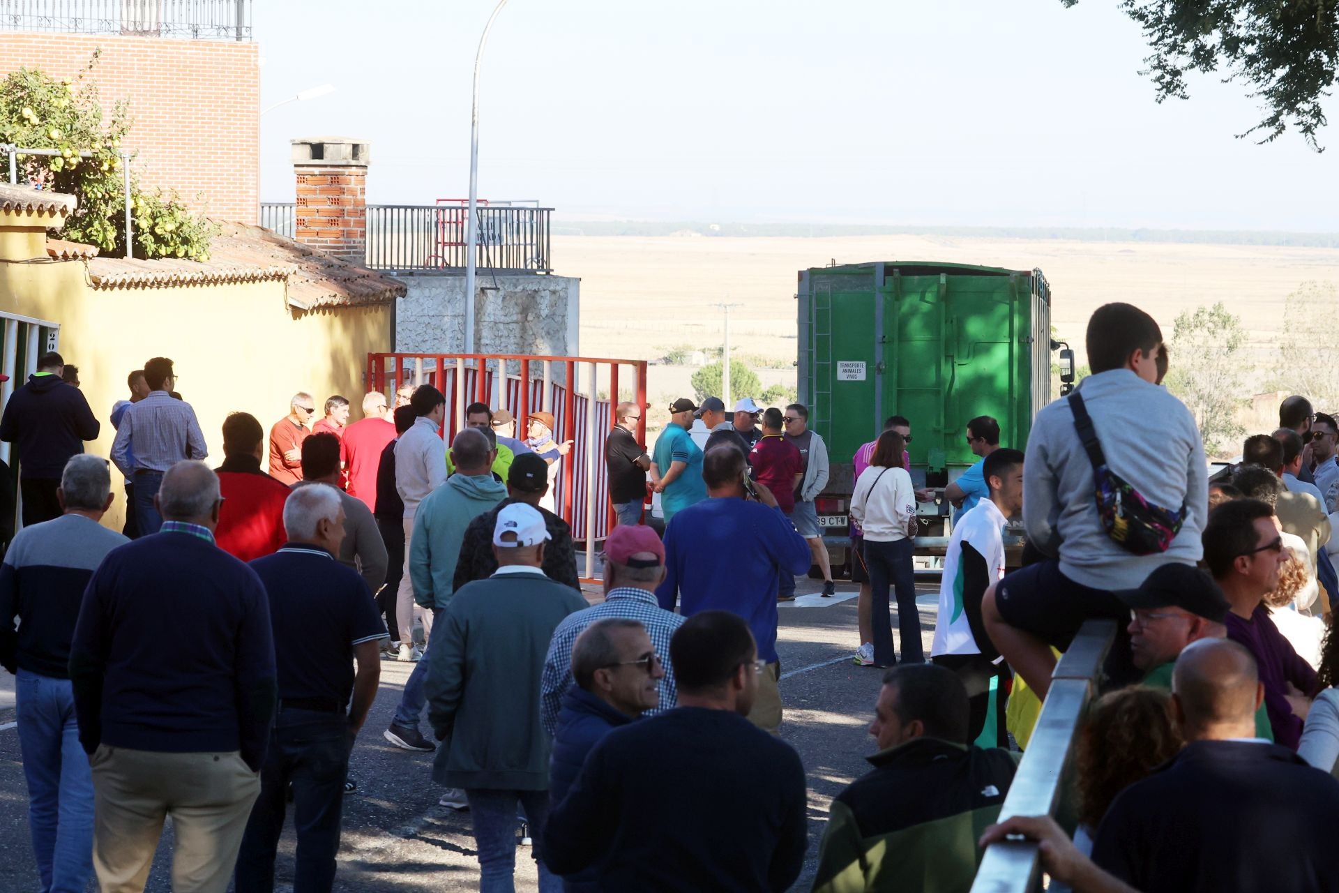 Las imágenes de la suelta del toro de cajón en Olmedo