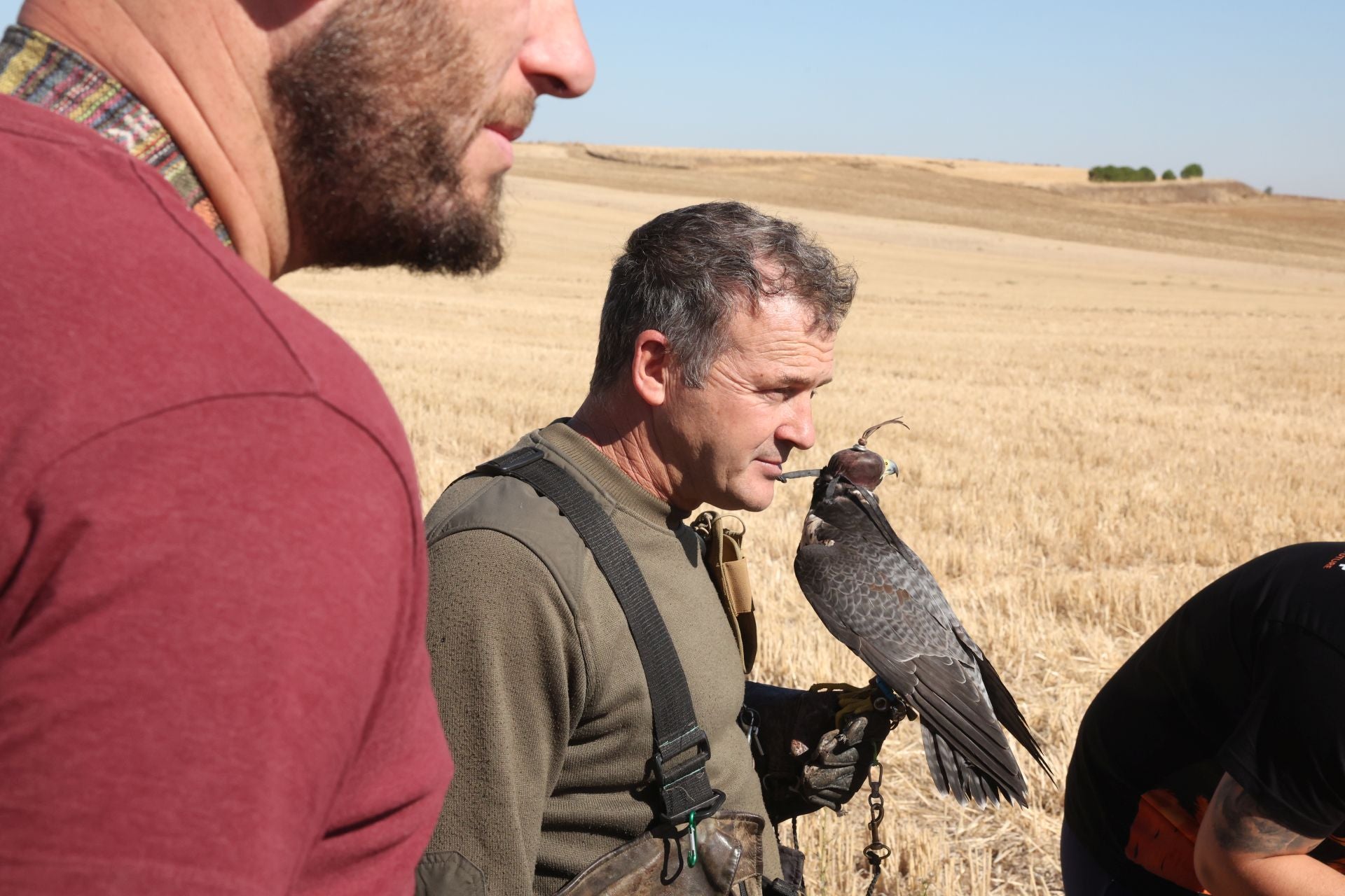 Las imágenes del I Encuentro Internacional de Cetrería en Nava del Rey
