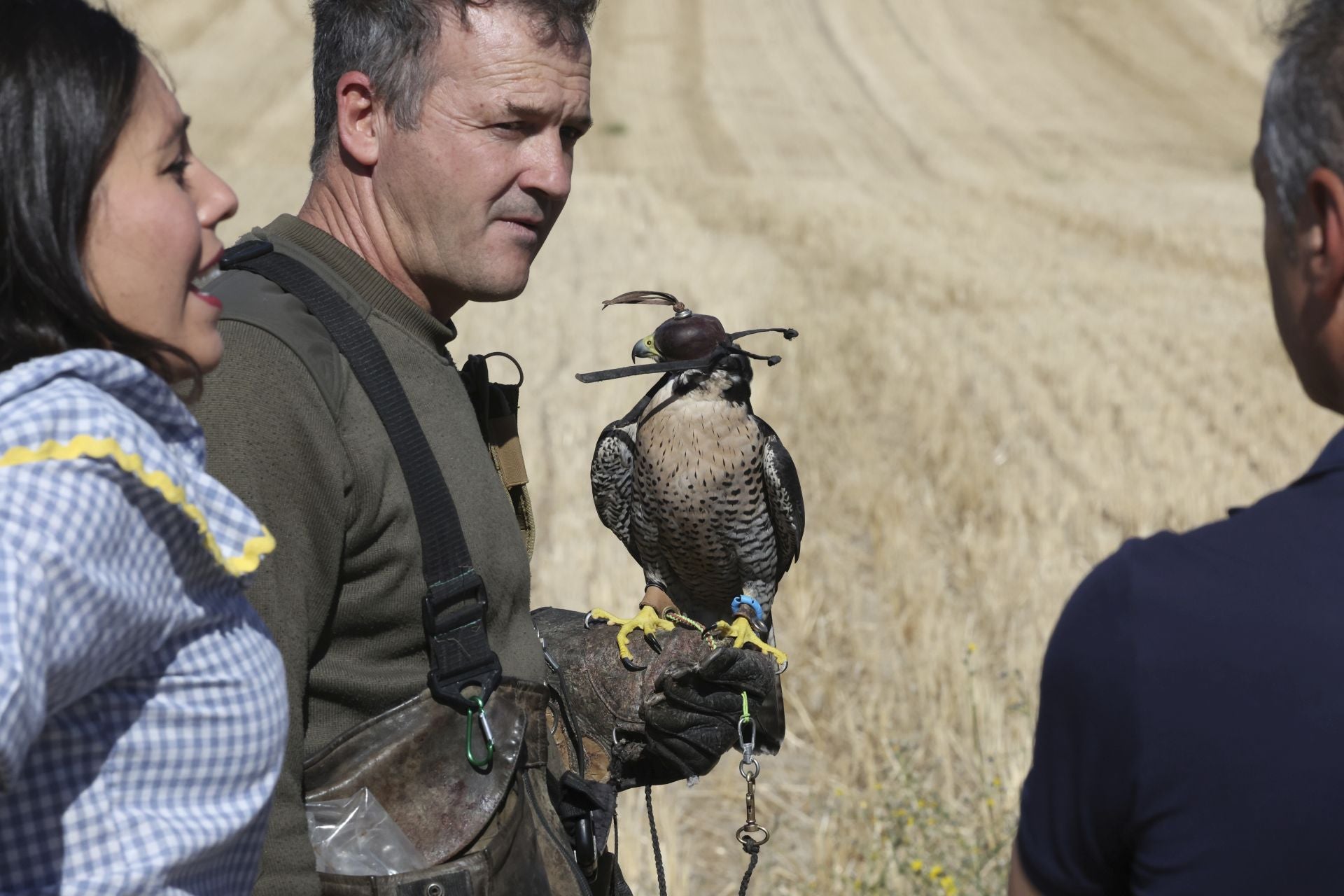 Las imágenes del I Encuentro Internacional de Cetrería en Nava del Rey
