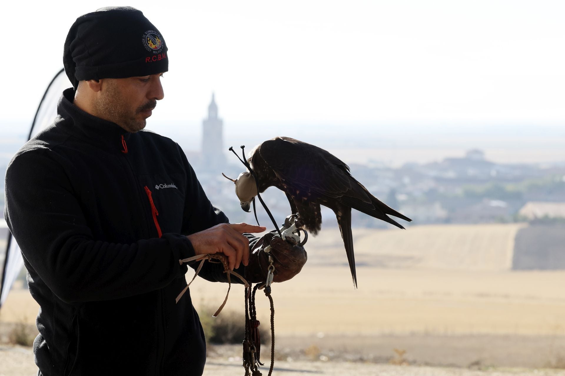 Las imágenes del I Encuentro Internacional de Cetrería en Nava del Rey
