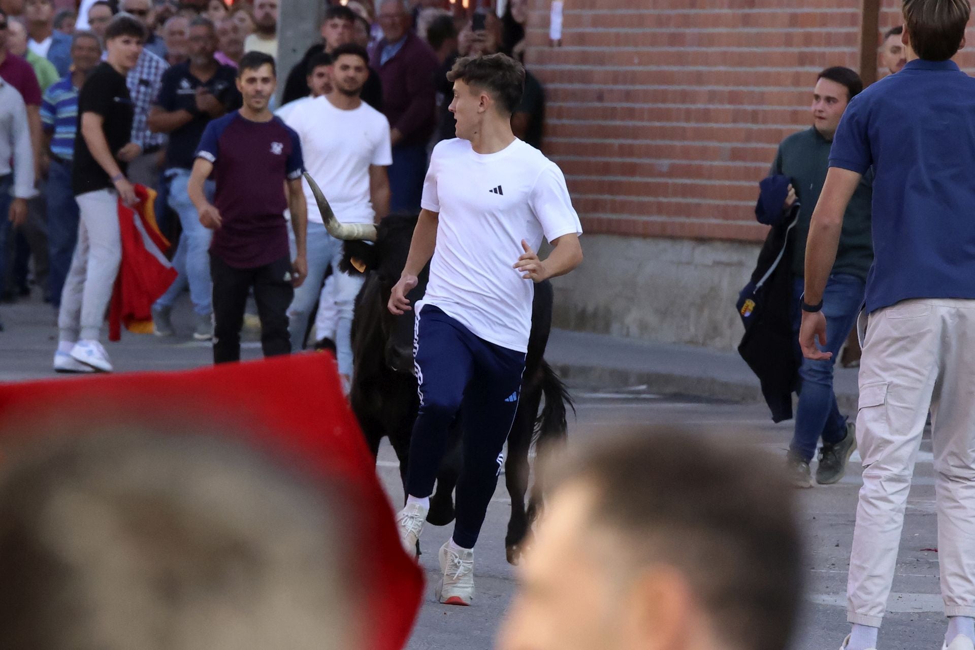 Las imágenes del toro de la vendimia en Rueda